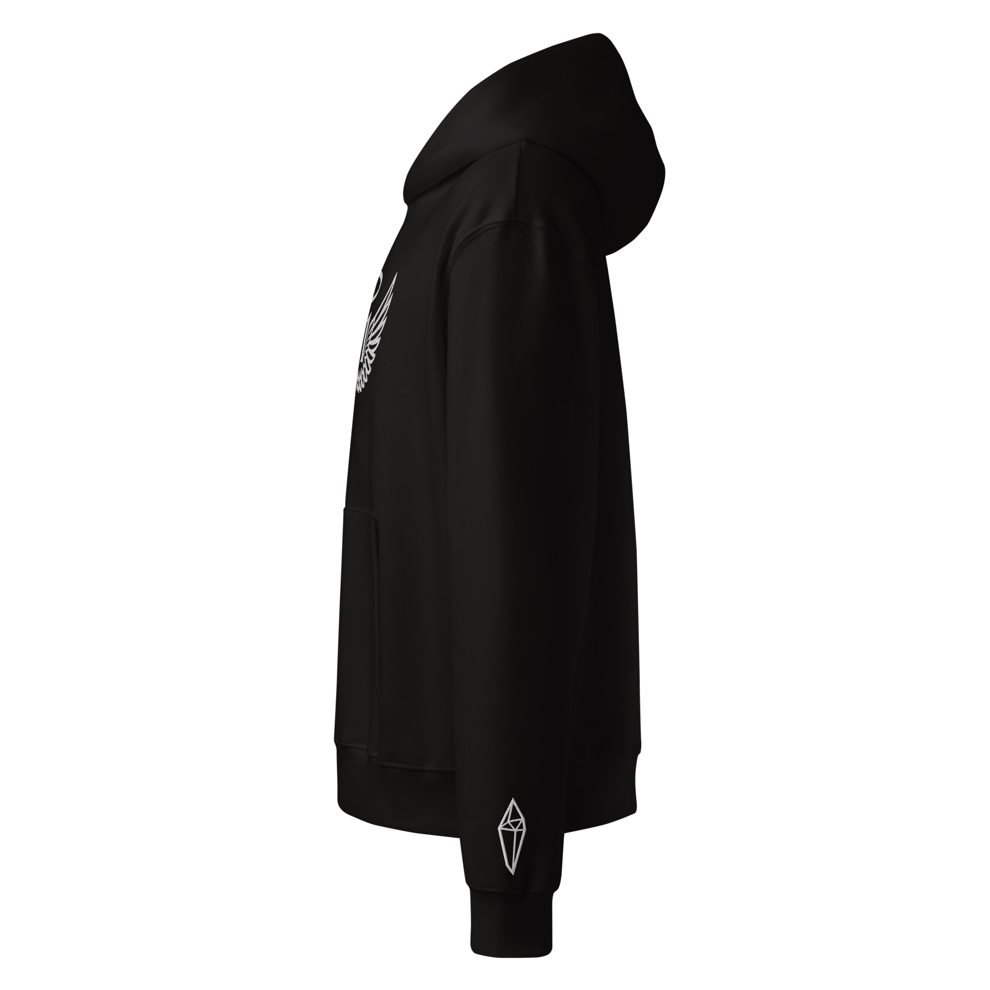 unisex-oversized-heavyweight-hoodie-black-left-6962ba194feac.png