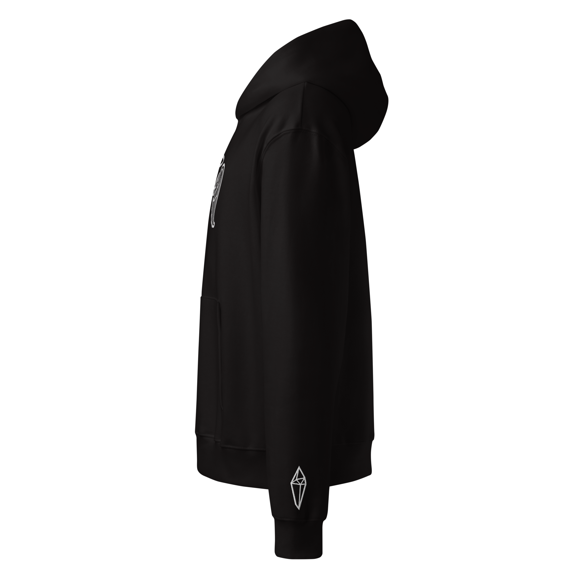 unisex-oversized-heavyweight-hoodie-black-left-696425551dde2.png