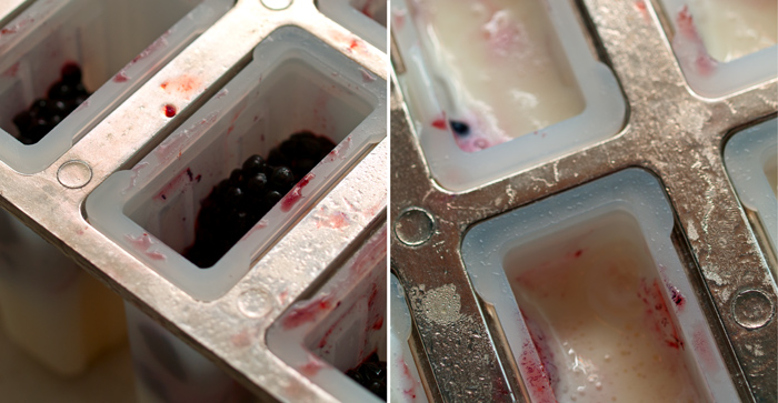 Molds are a great investment for popsicle/paleta treats.