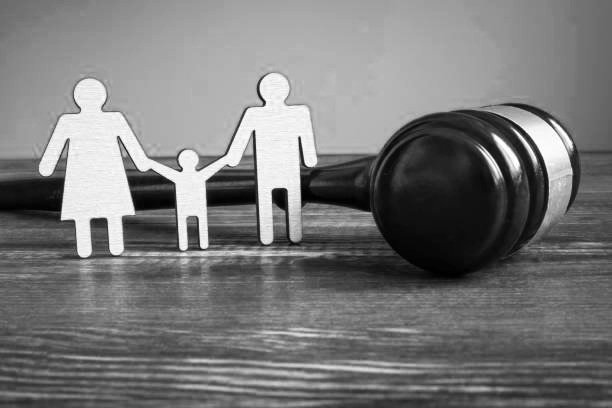A Review of Family Provisions published by the Supreme Court of NSW in 2023 by Greg George