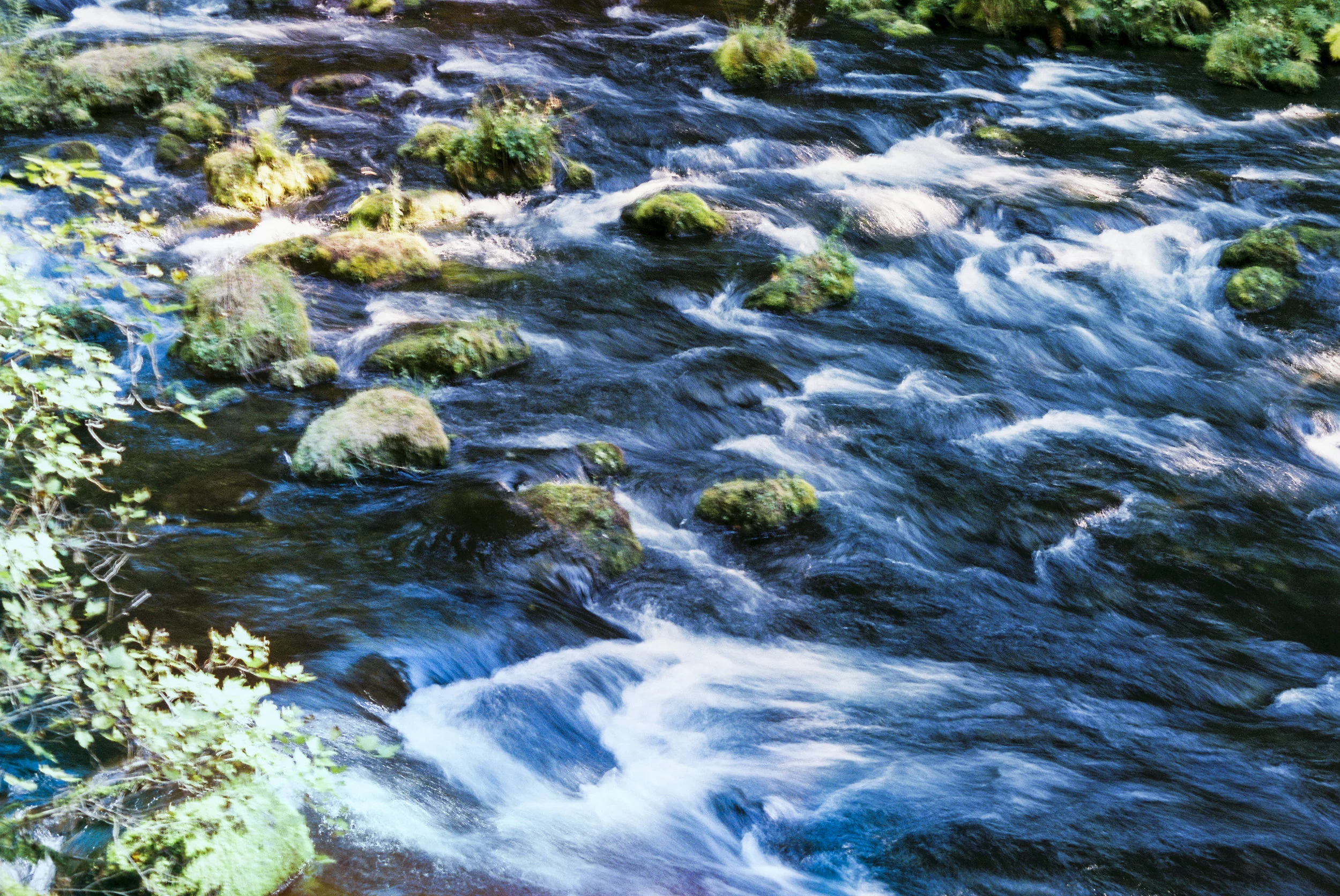McKenzie River, OR