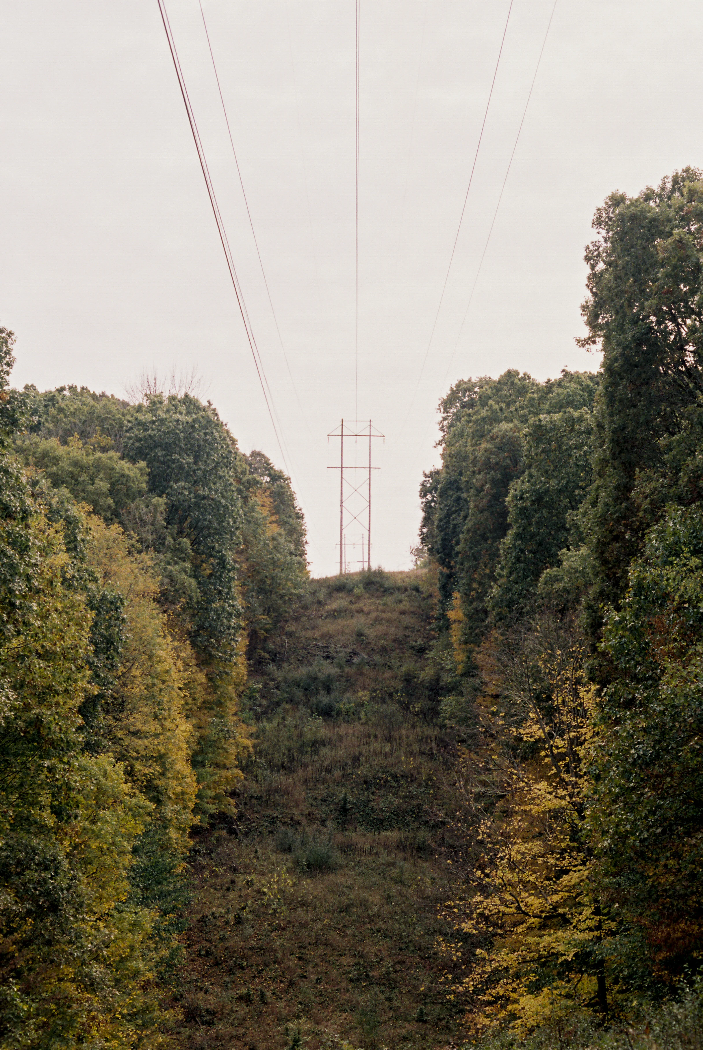 Power line clearing. The Ridges, Athens, OH
