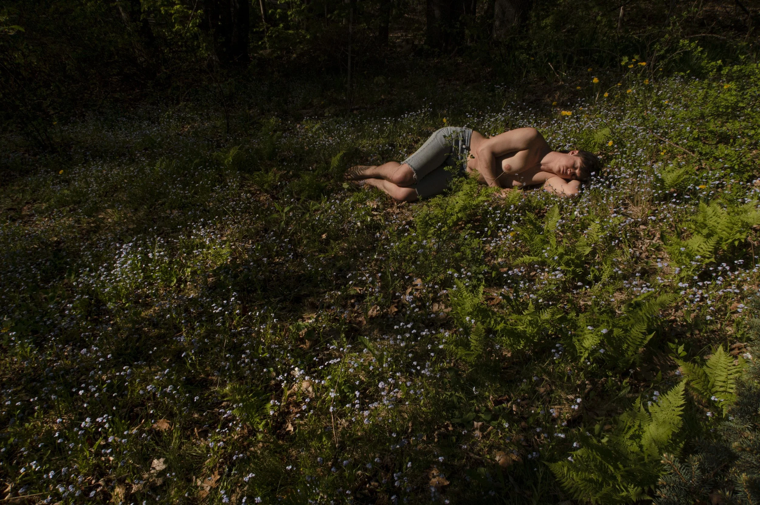 SelfPortraits_ForgetMeNots_01.JPG