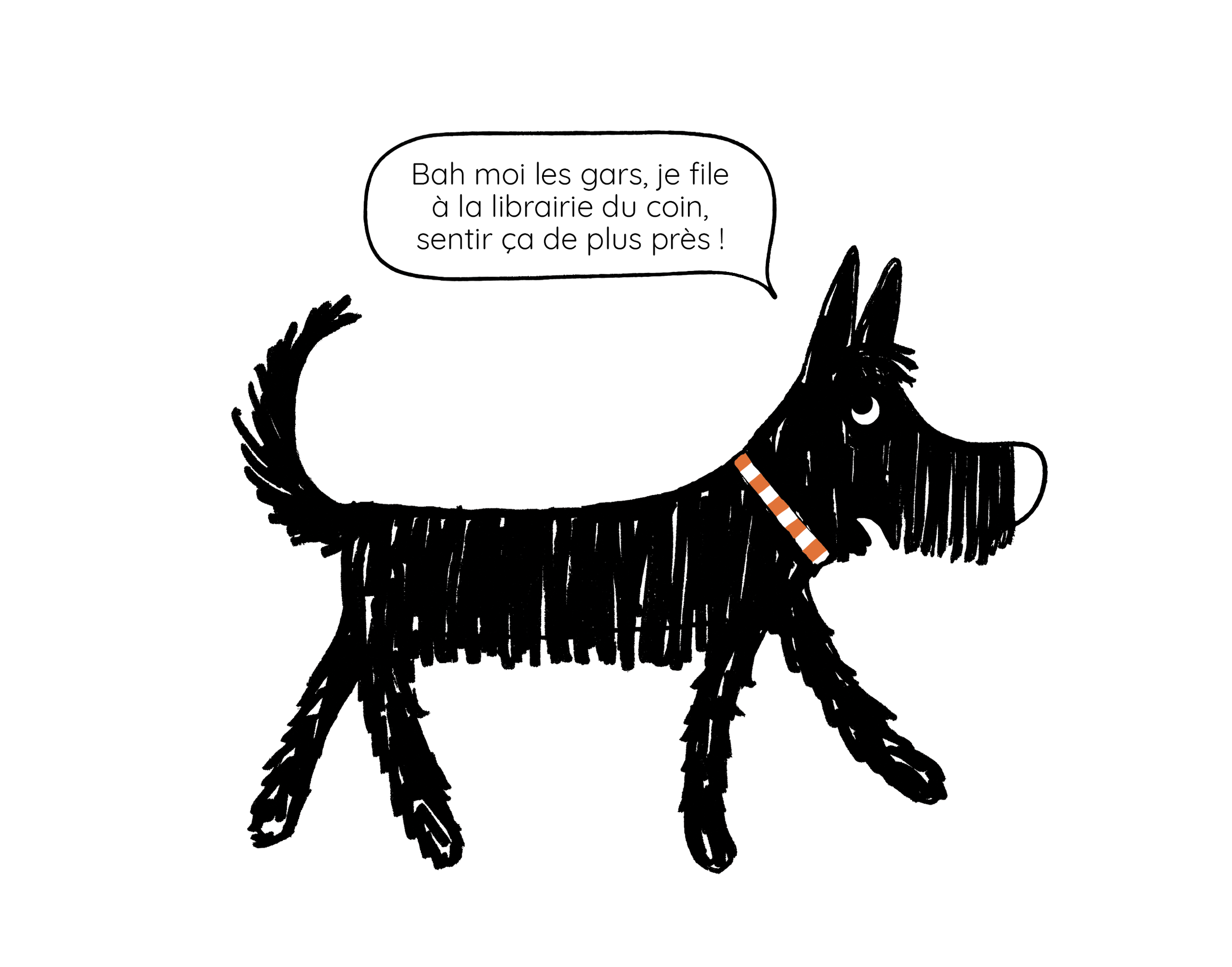 DOG_WEB_04.png