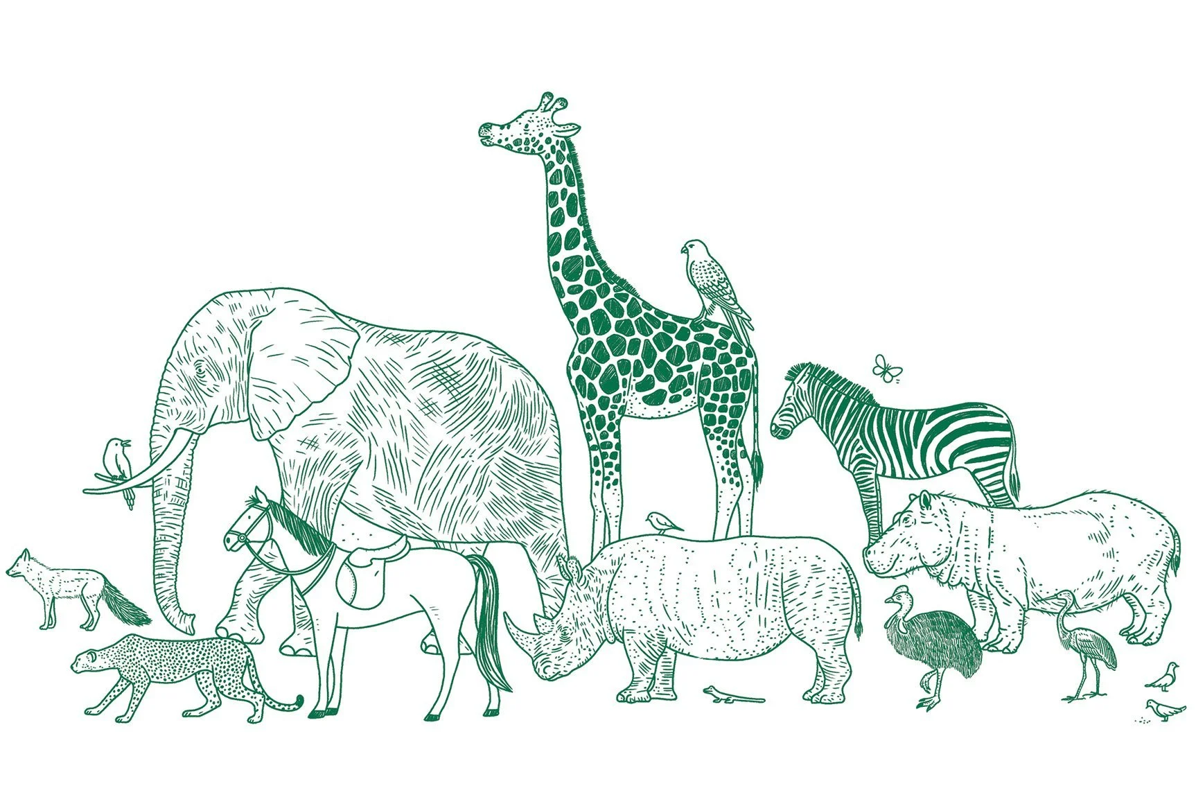 Hermès Museum Animals Event Invitation