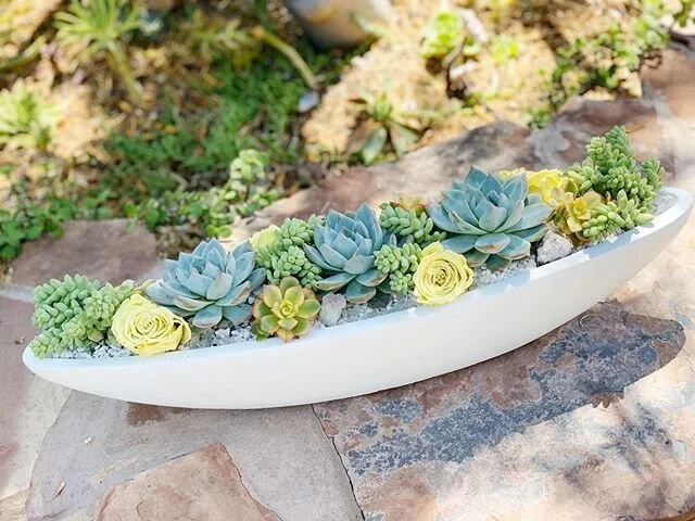 ⠀⠀⠀⠀⠀⠀⠀⠀⠀ #patiogarden #terracegarden #containergarden  #plantstyle #plantstylist #plantdecor #succulentgarden  #plantstyling #plantsmakepeoplehappy #houseplantlovers #jungalow #jungslowstyle #designingwithplants #gardening #naturelover #plantlover
