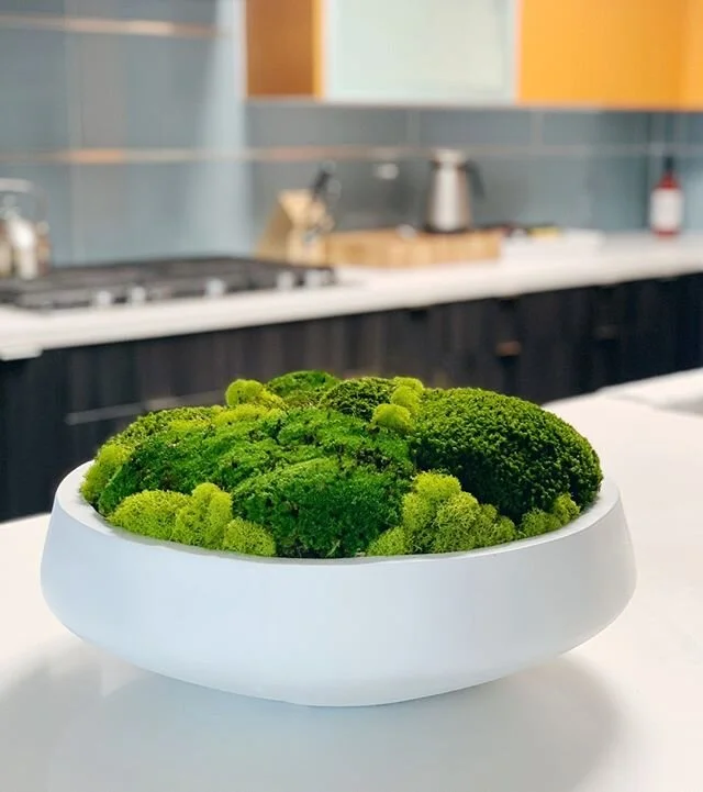 A complimentary pop of color for a mid century kitchen! Clean, modern and no maintenance with this 22&rdquo; preserved moss bowl. #interiorrewilding #mosswall #mosswalls #mossdesign #preservedmoss #designerwalls #greenwall #moss #vericalgarden #inter
