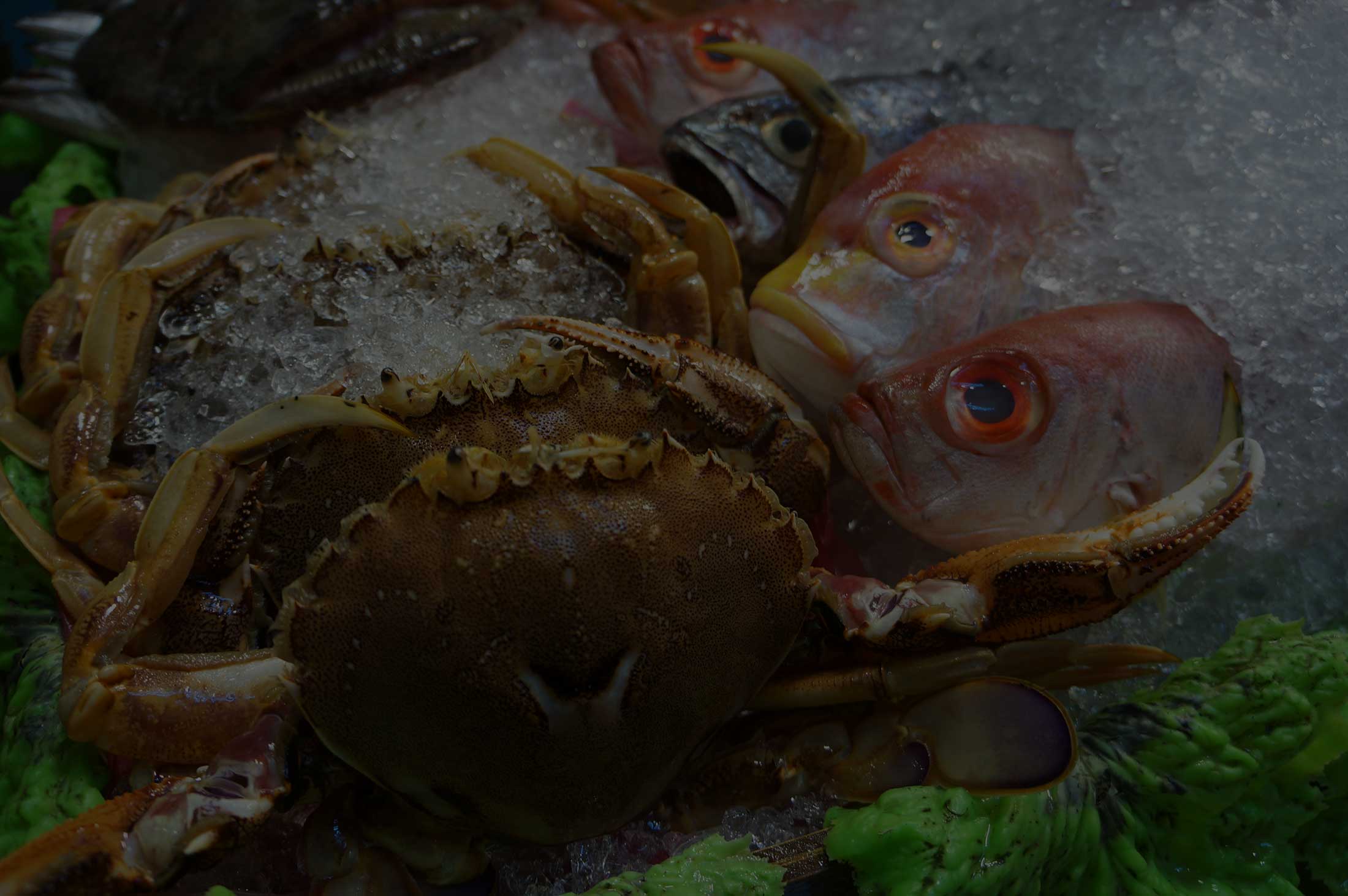 crabbackground3.jpg
