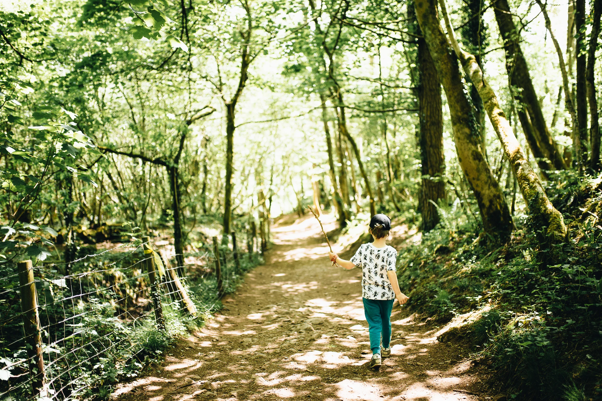 Path us