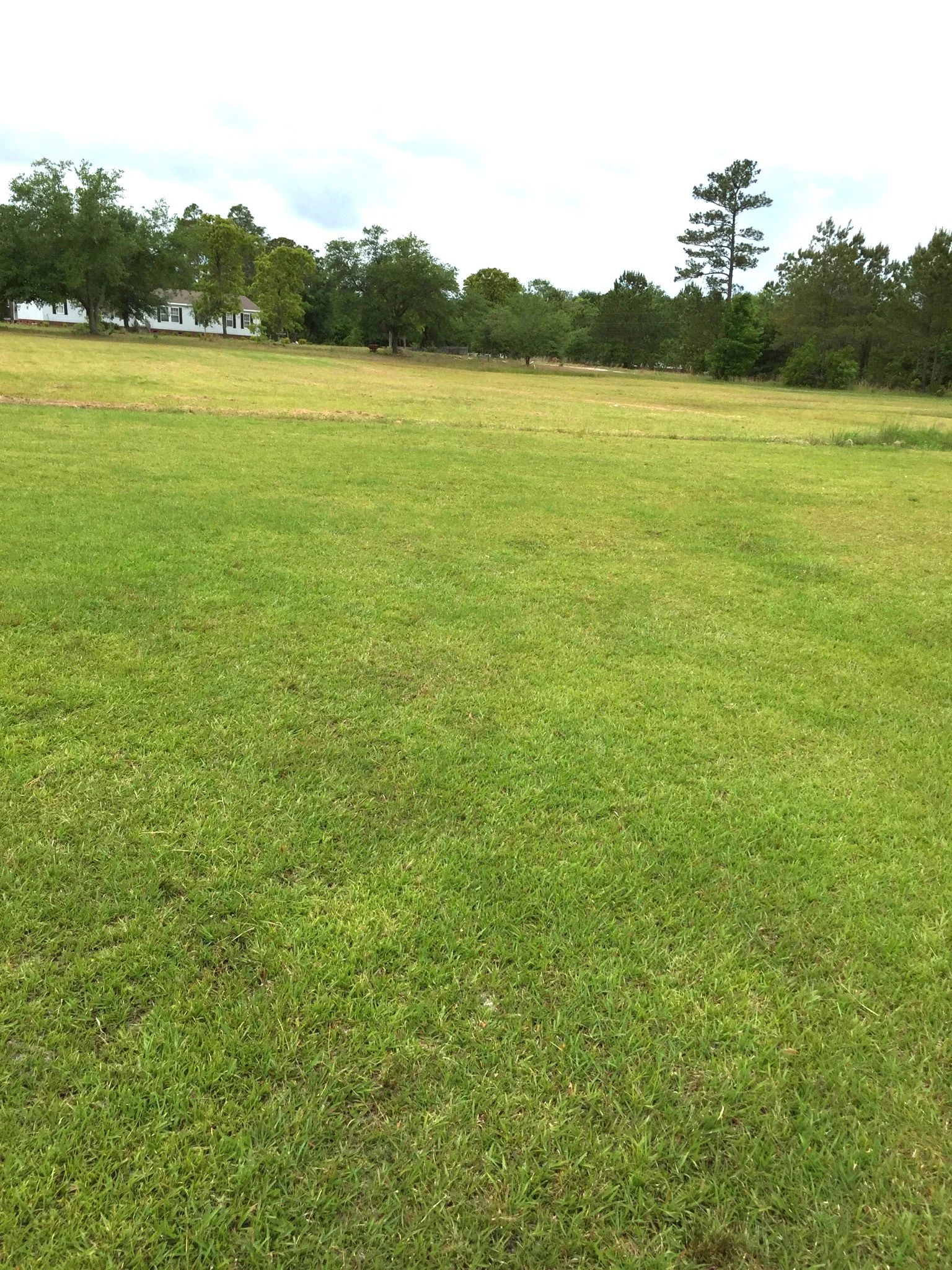 IMG_0034.JPG