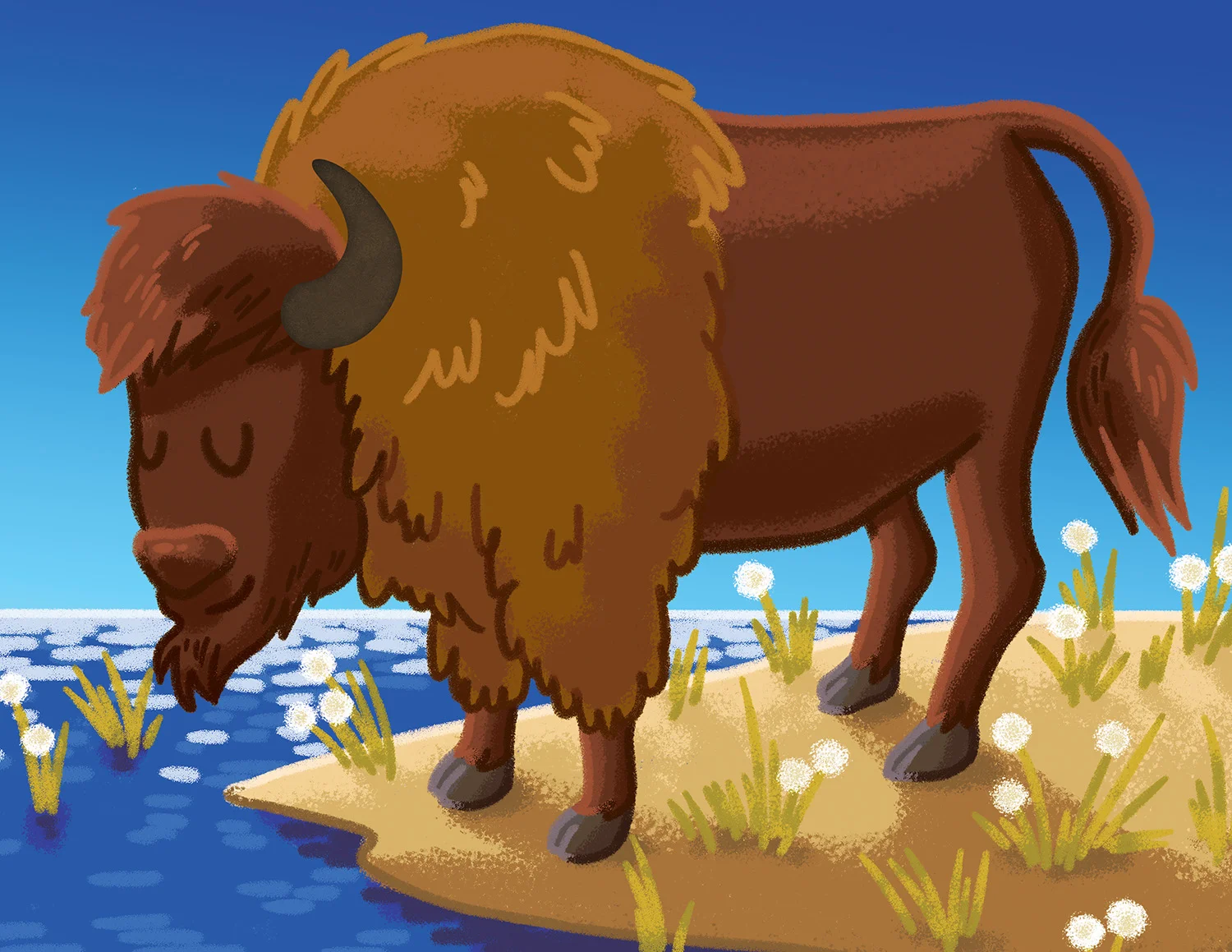 texturebook-bison2.jpg