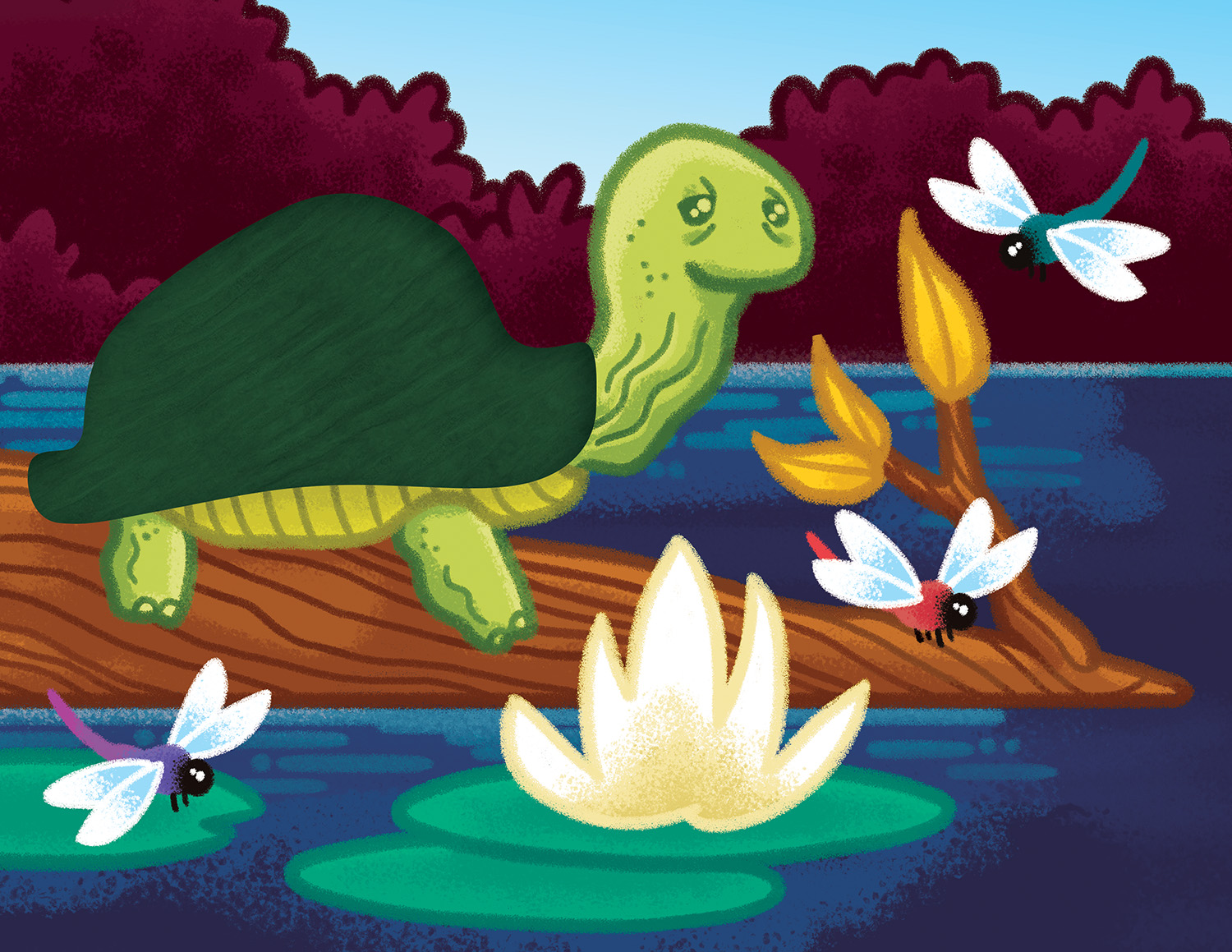 texturebook-turtle2.jpg
