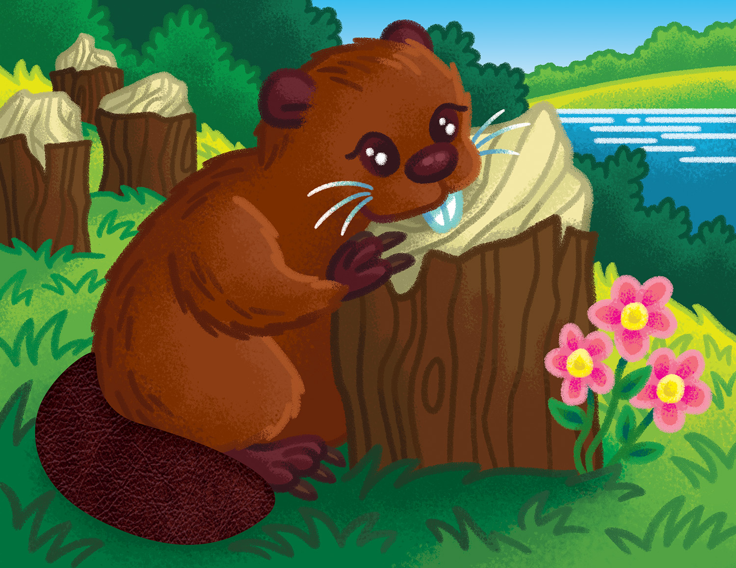 texturebook-beaver2.jpg