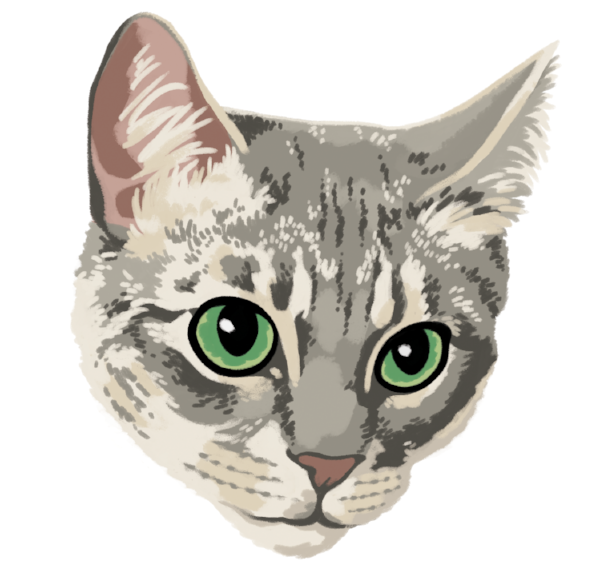 olivia-squarespace.png