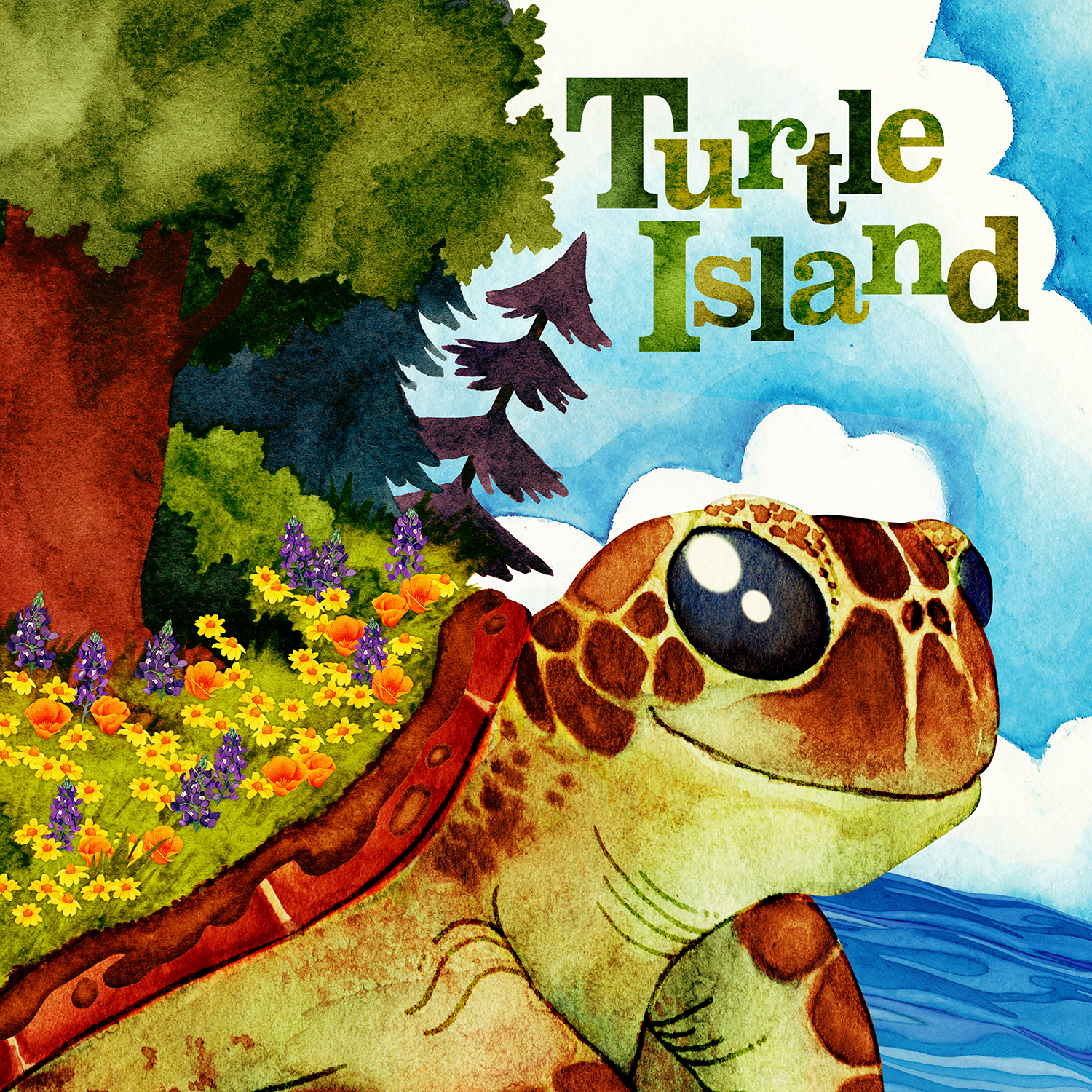 turtle island thumbnail for squarespace.png