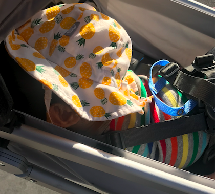 fluxy teether