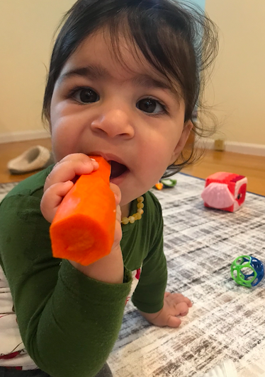 fluxy teether