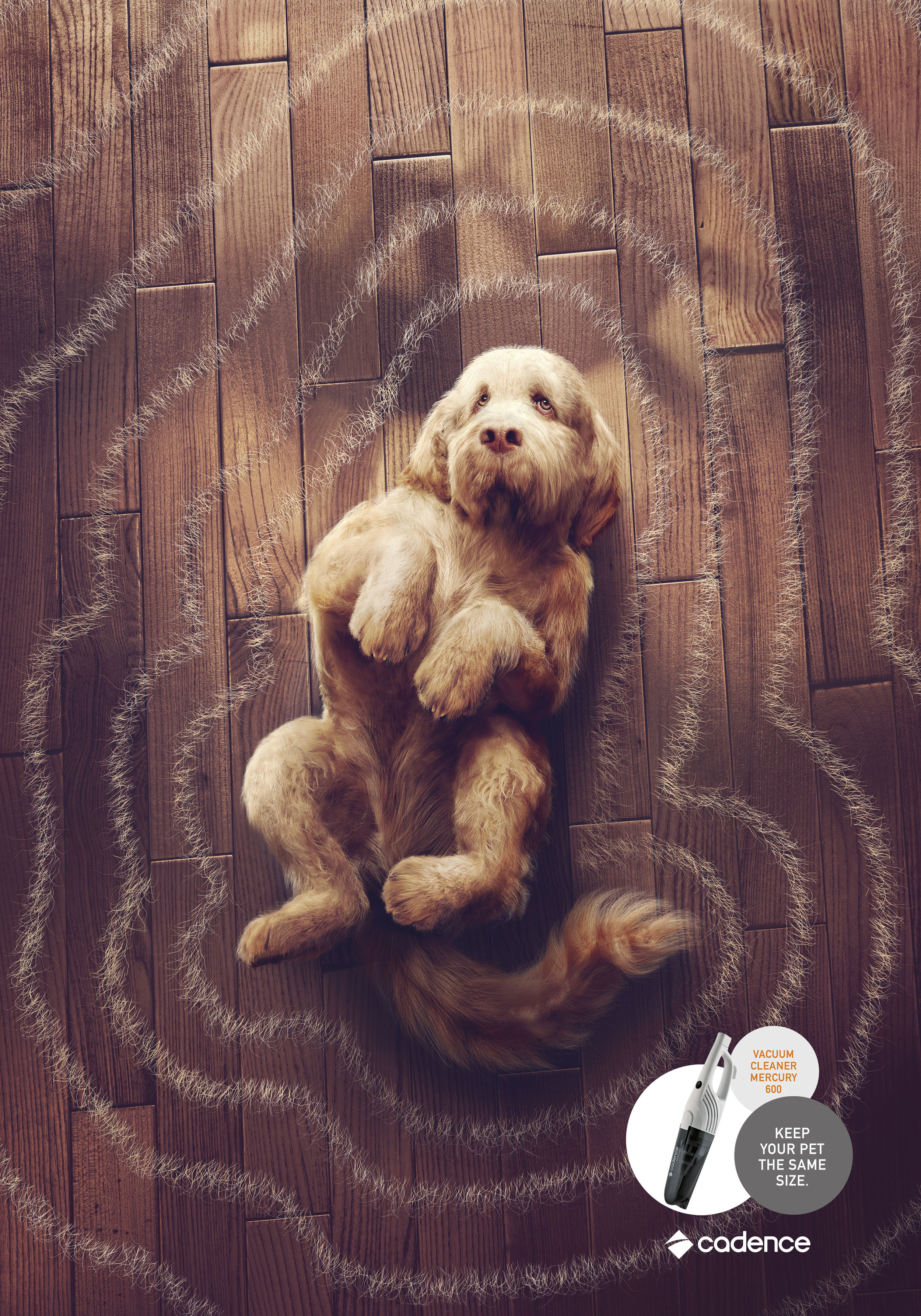 Endless-Dog_o-2.jpg
