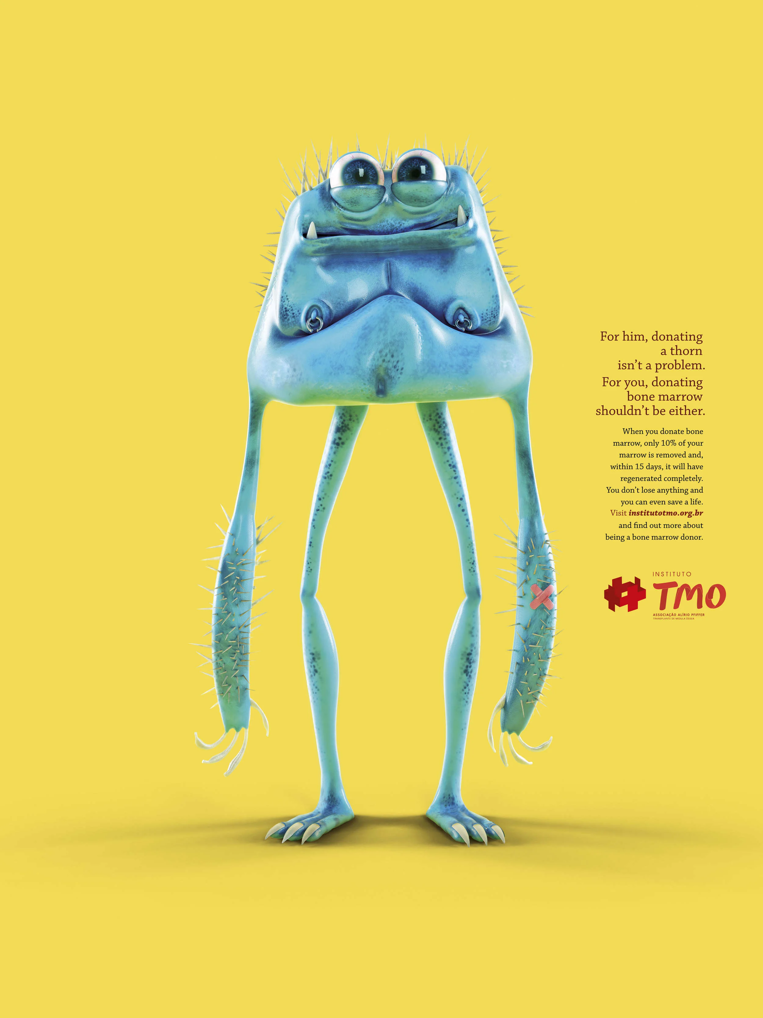 Espinho-ingles_1_o-2_2500_c.jpg