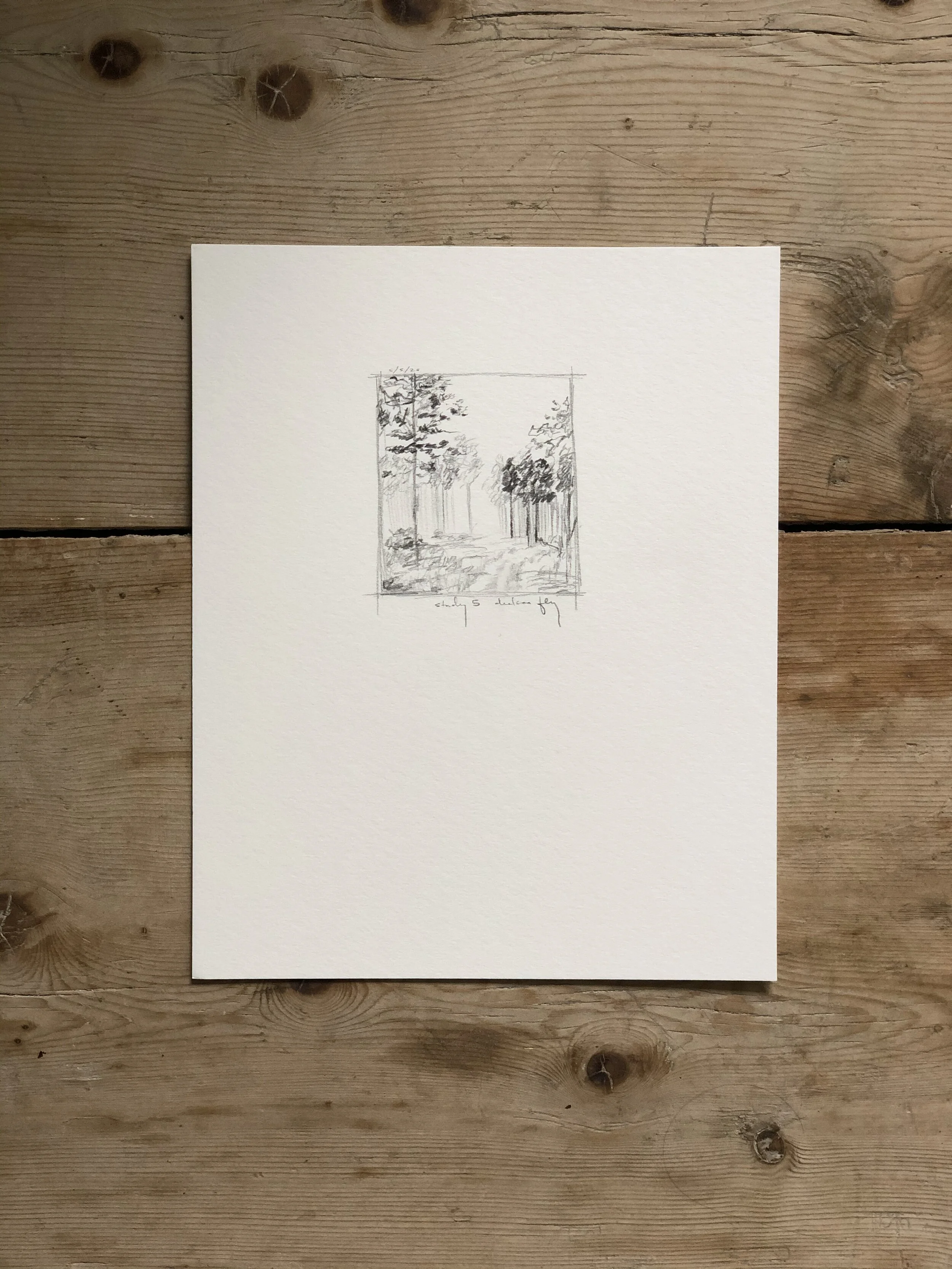 5:21 studies - 1a.jpeg