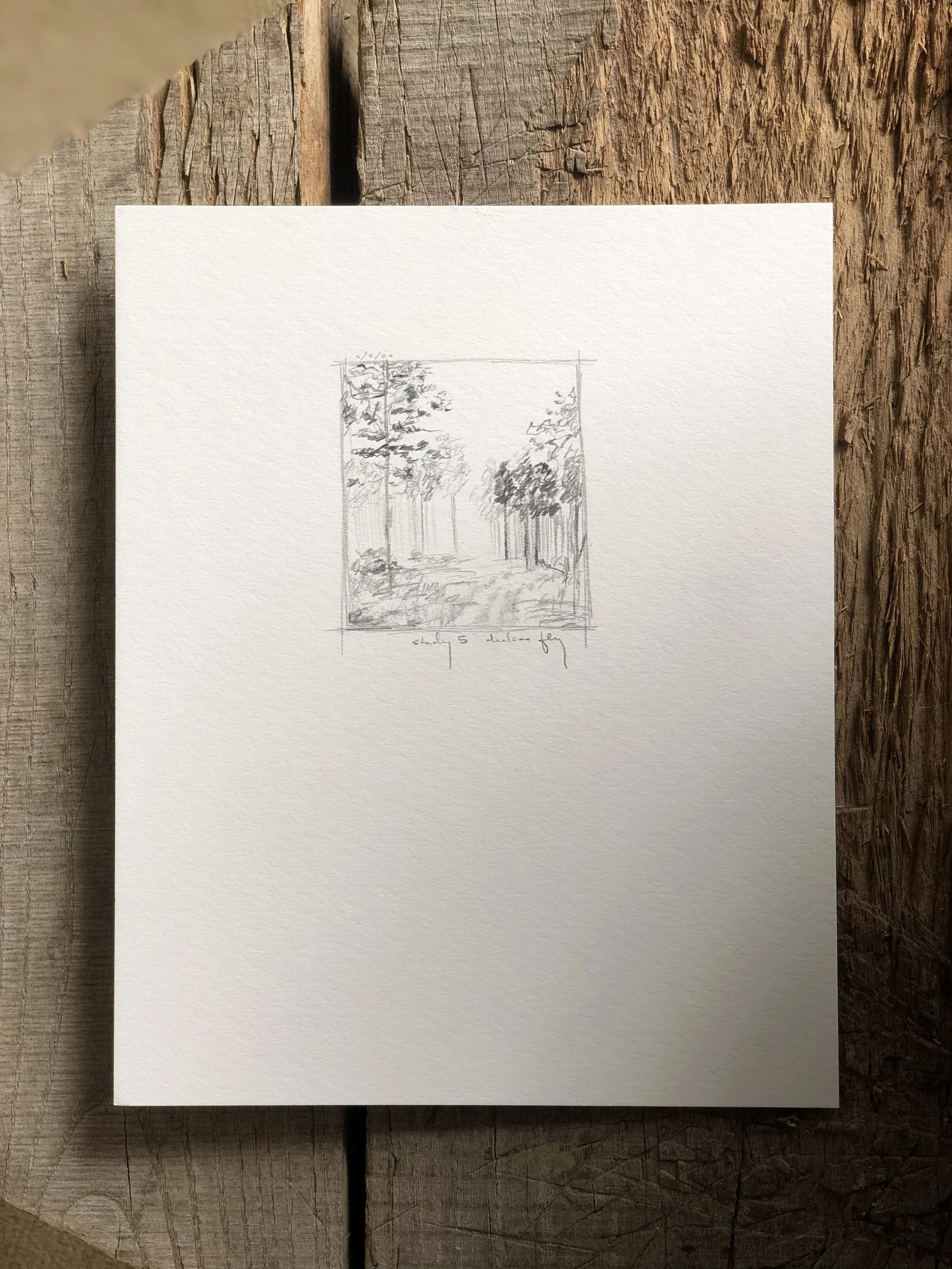 5:21 studies - 1d.jpeg