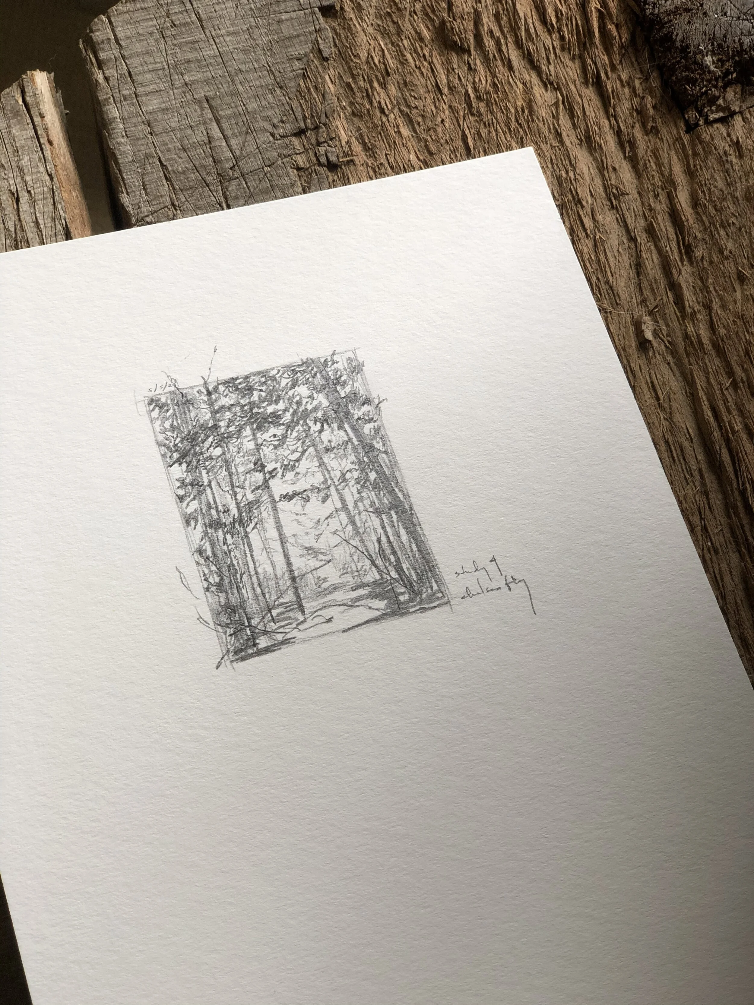 5:21 studies - 2a.jpeg