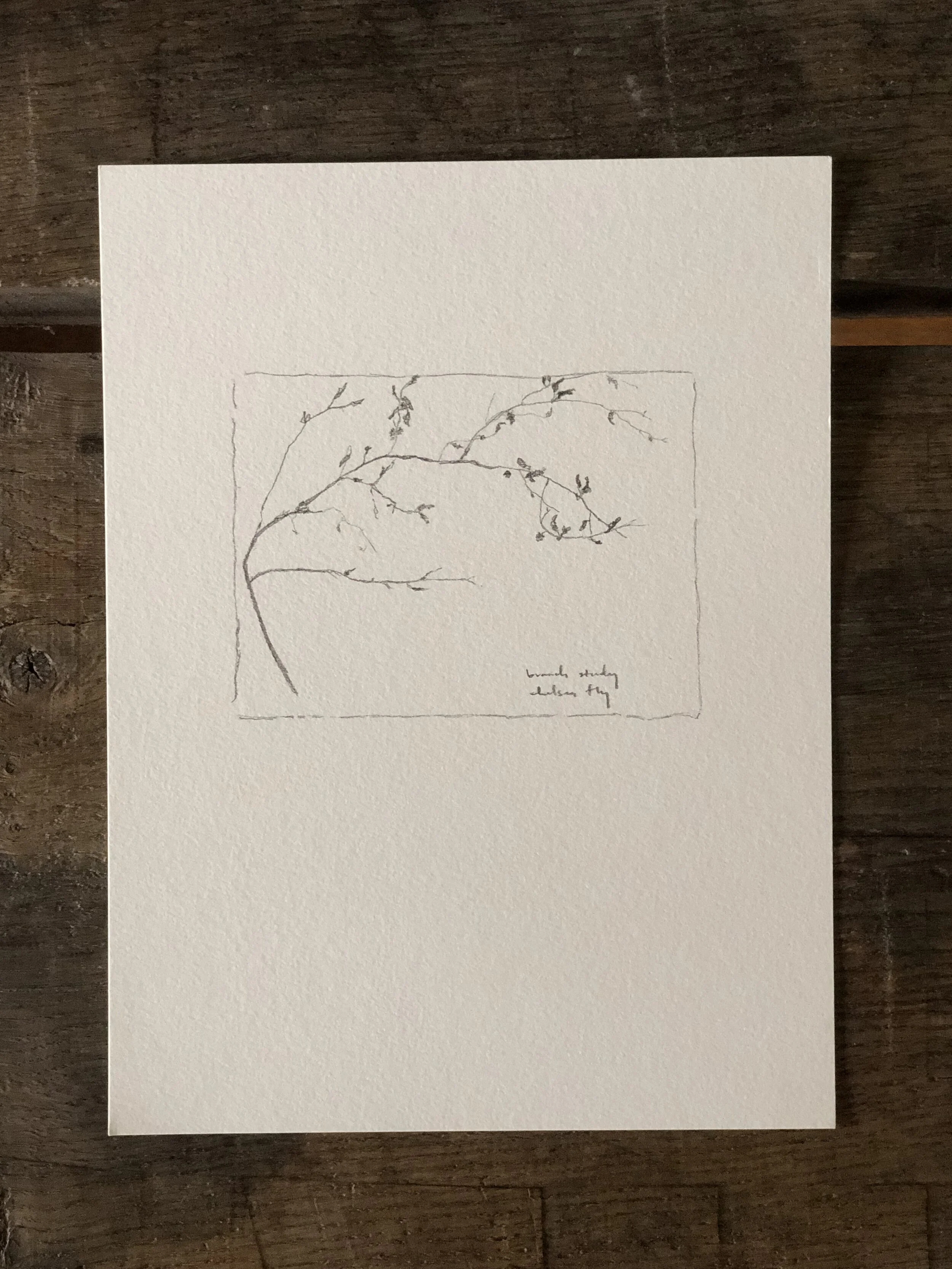 5:21 studies - 4b.jpeg