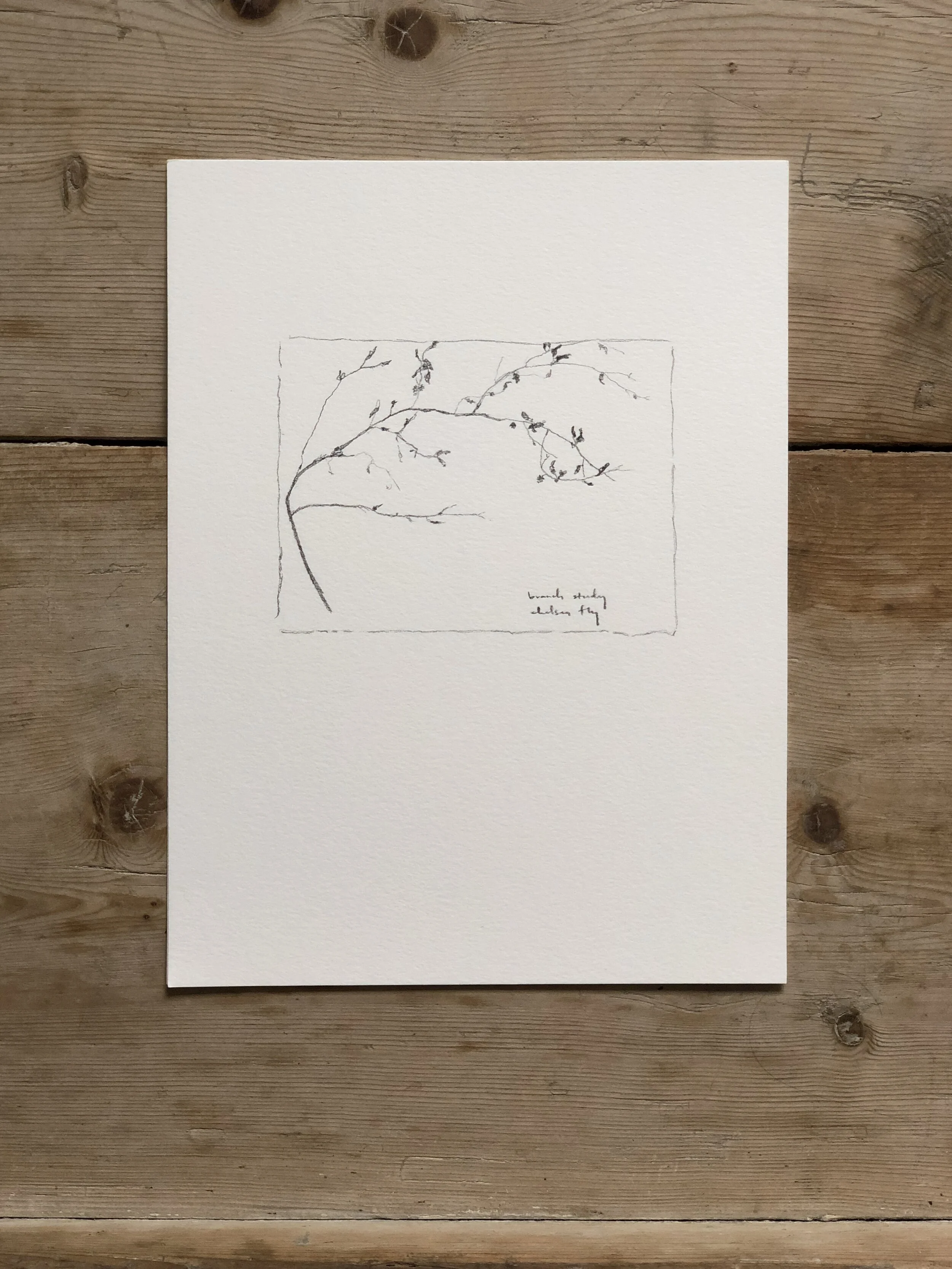 5:21 studies - 4c.jpeg