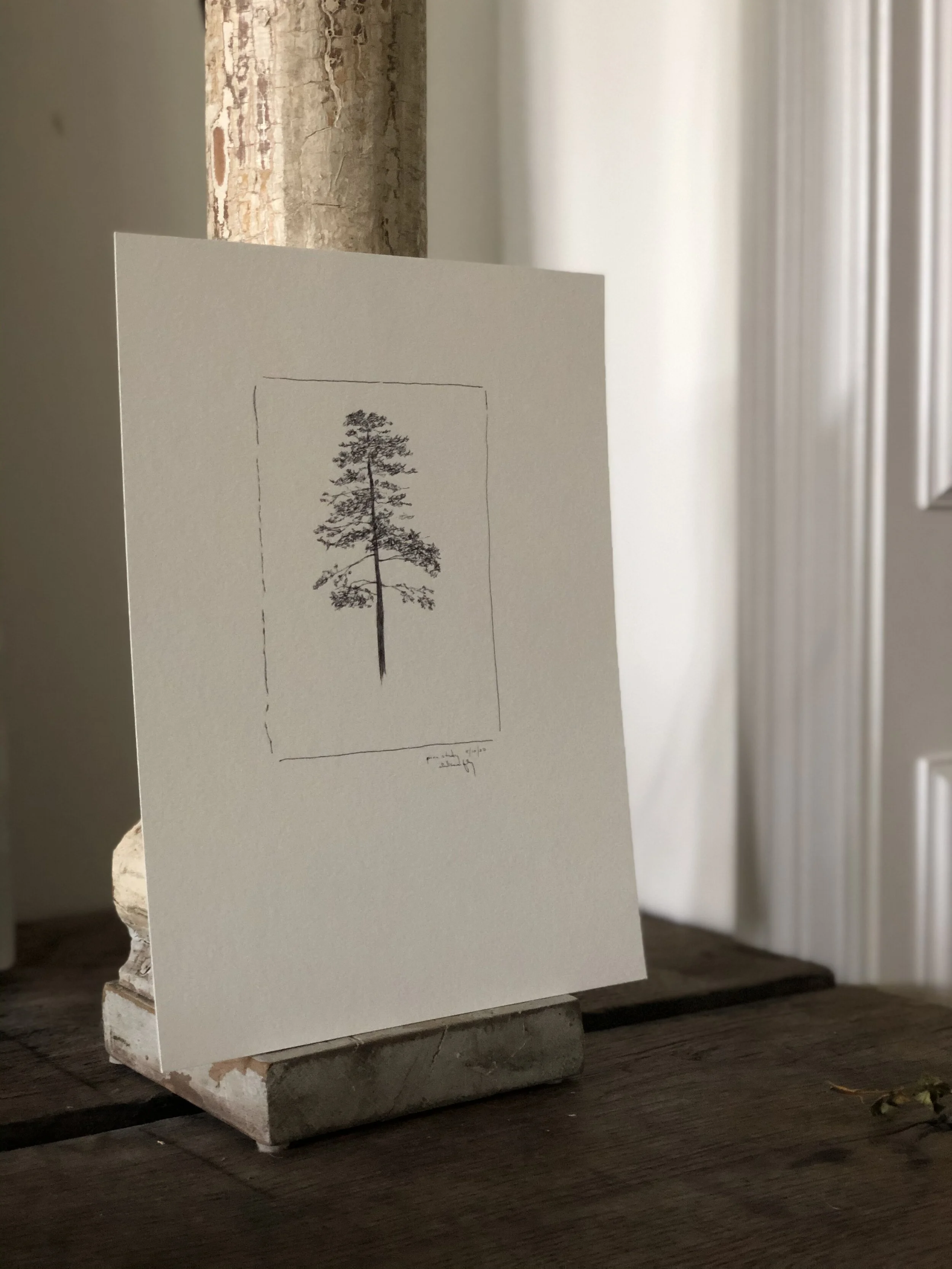 5:21 studies - 5c.jpeg