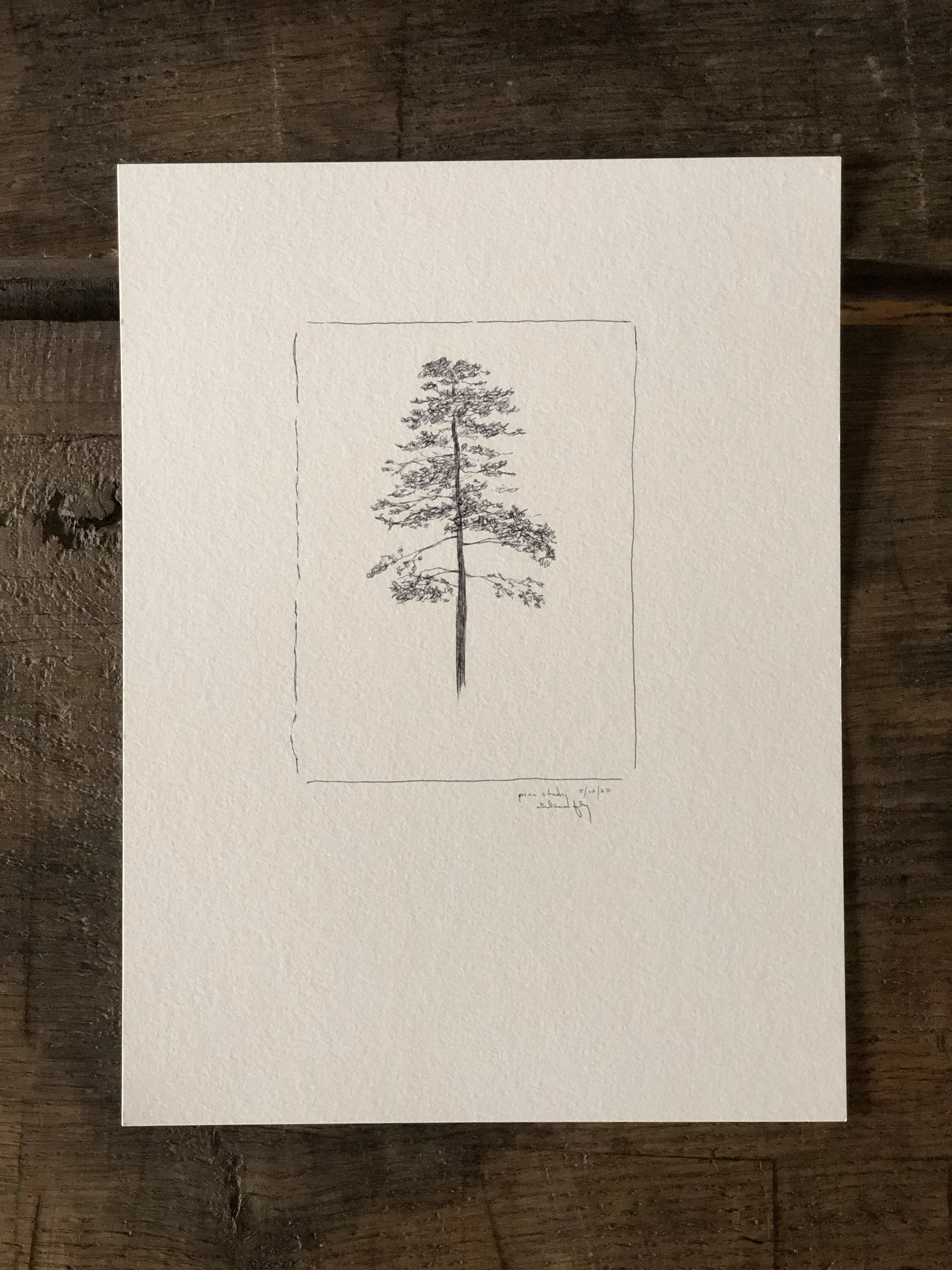 5:21 studies - 5a.jpeg