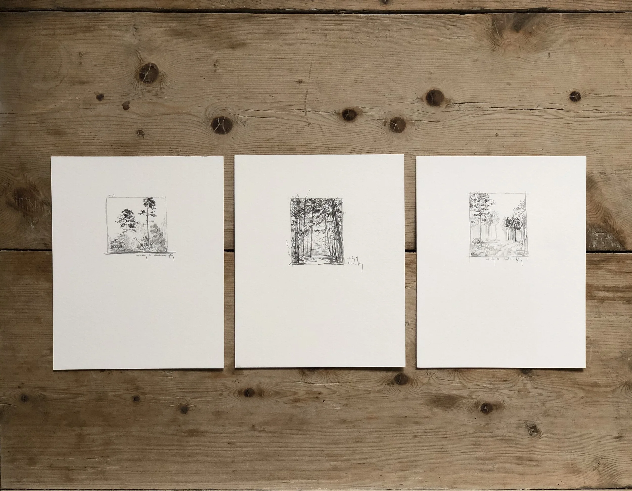 5:21 studies - 1-3 grouping.jpeg