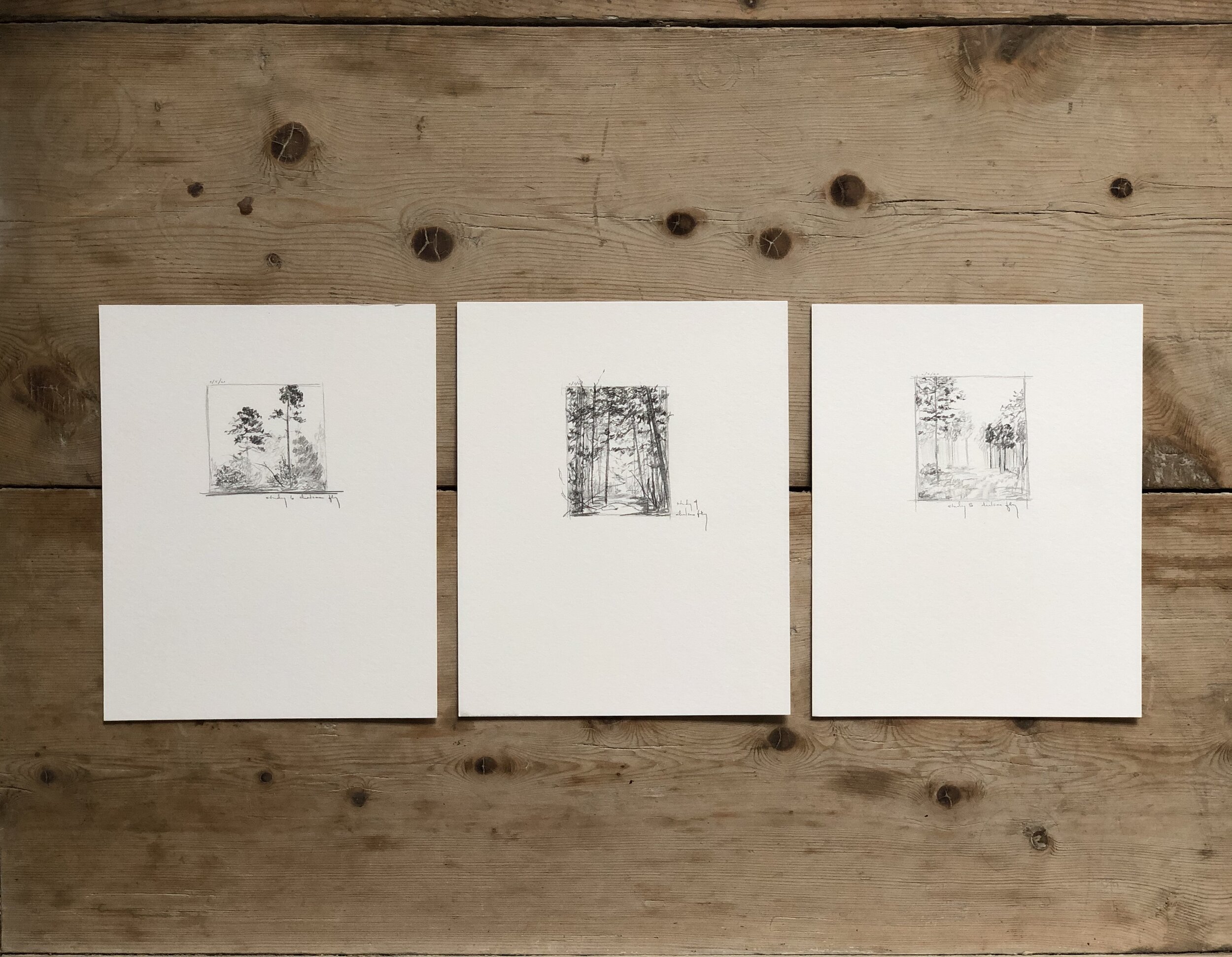 5:21 studies - 1-3 grouping.jpeg