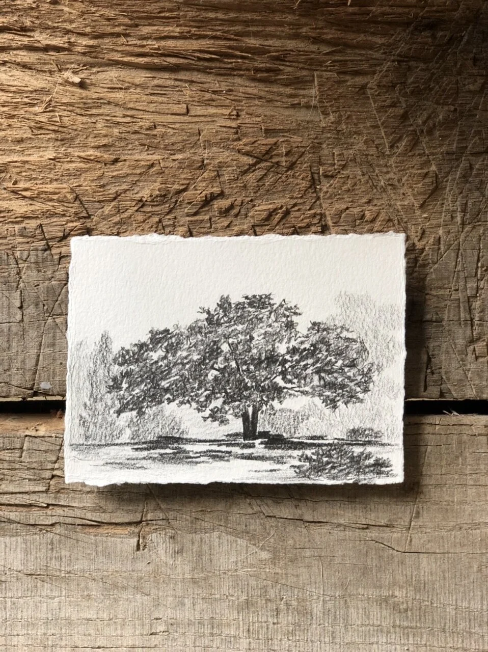 5:21 studies - 6a.jpeg