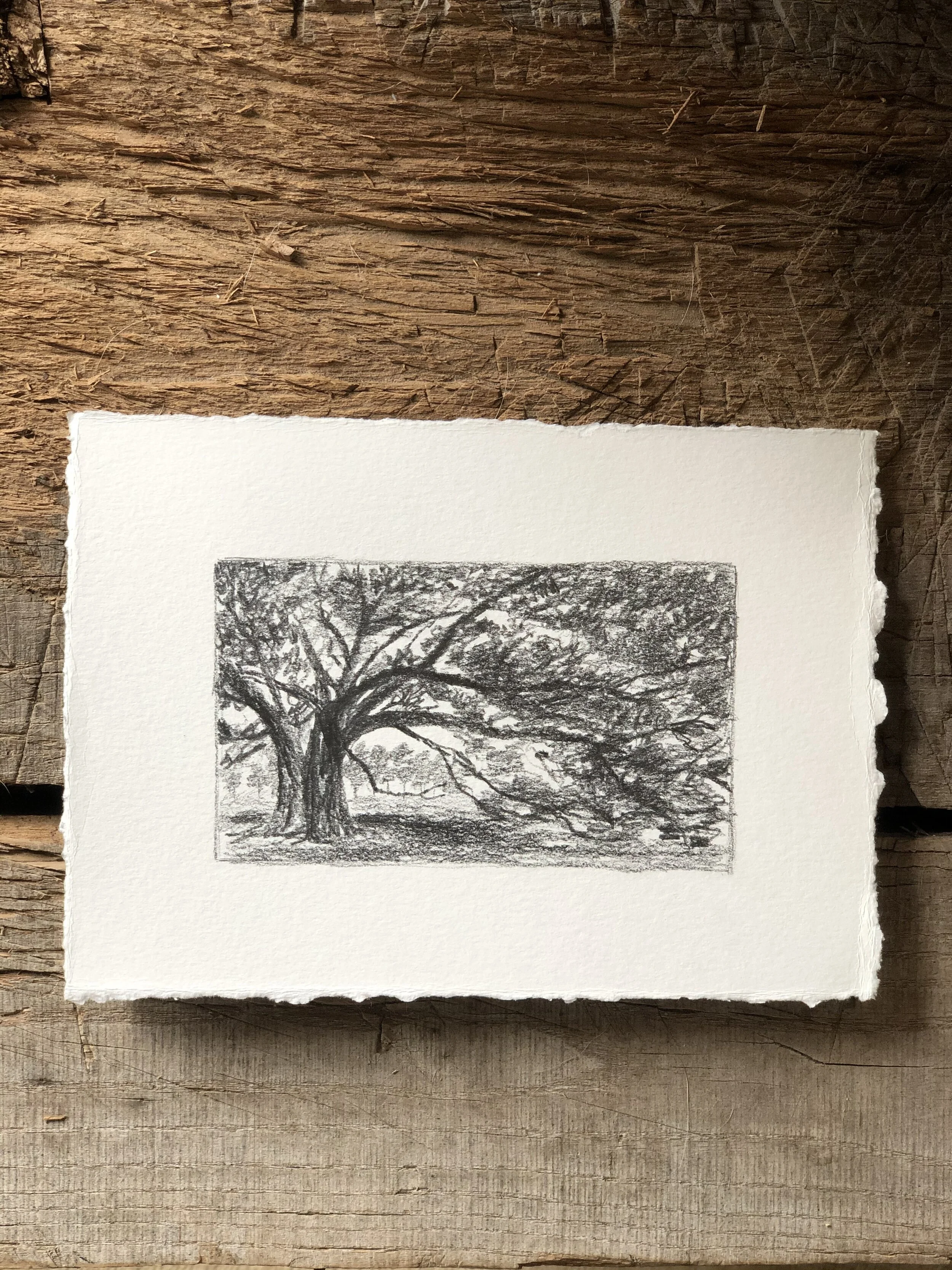 5:21 studies - 8c.jpeg