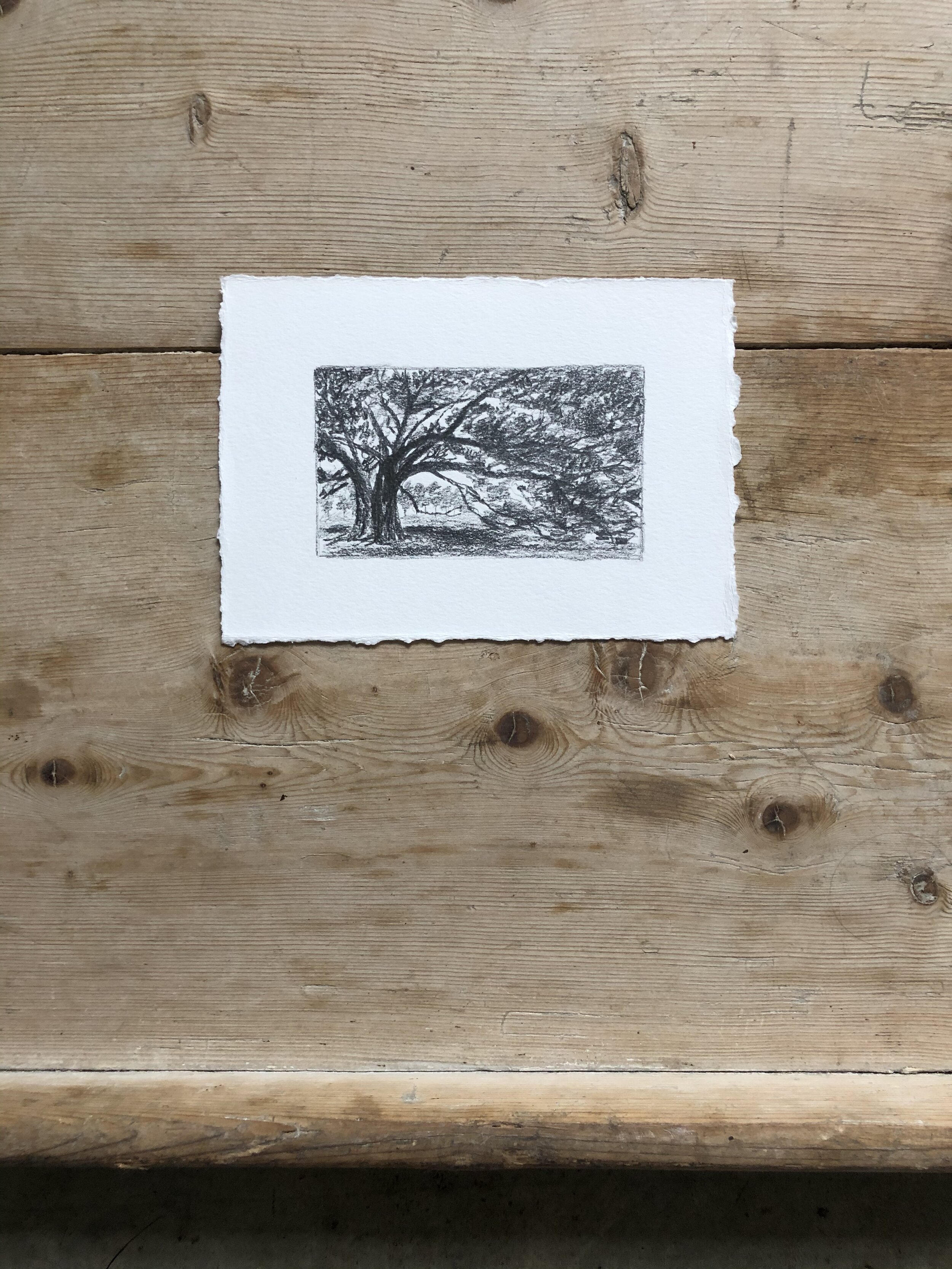 5:21 studies - 8b.jpeg