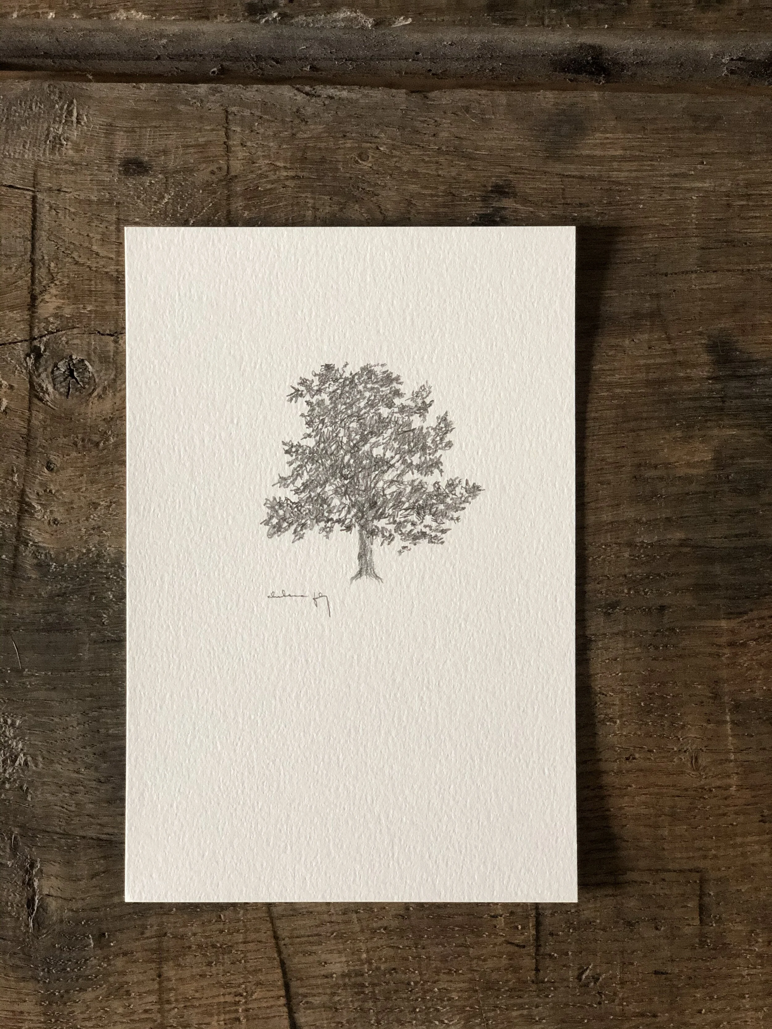 5:21 studies - 9b.jpeg