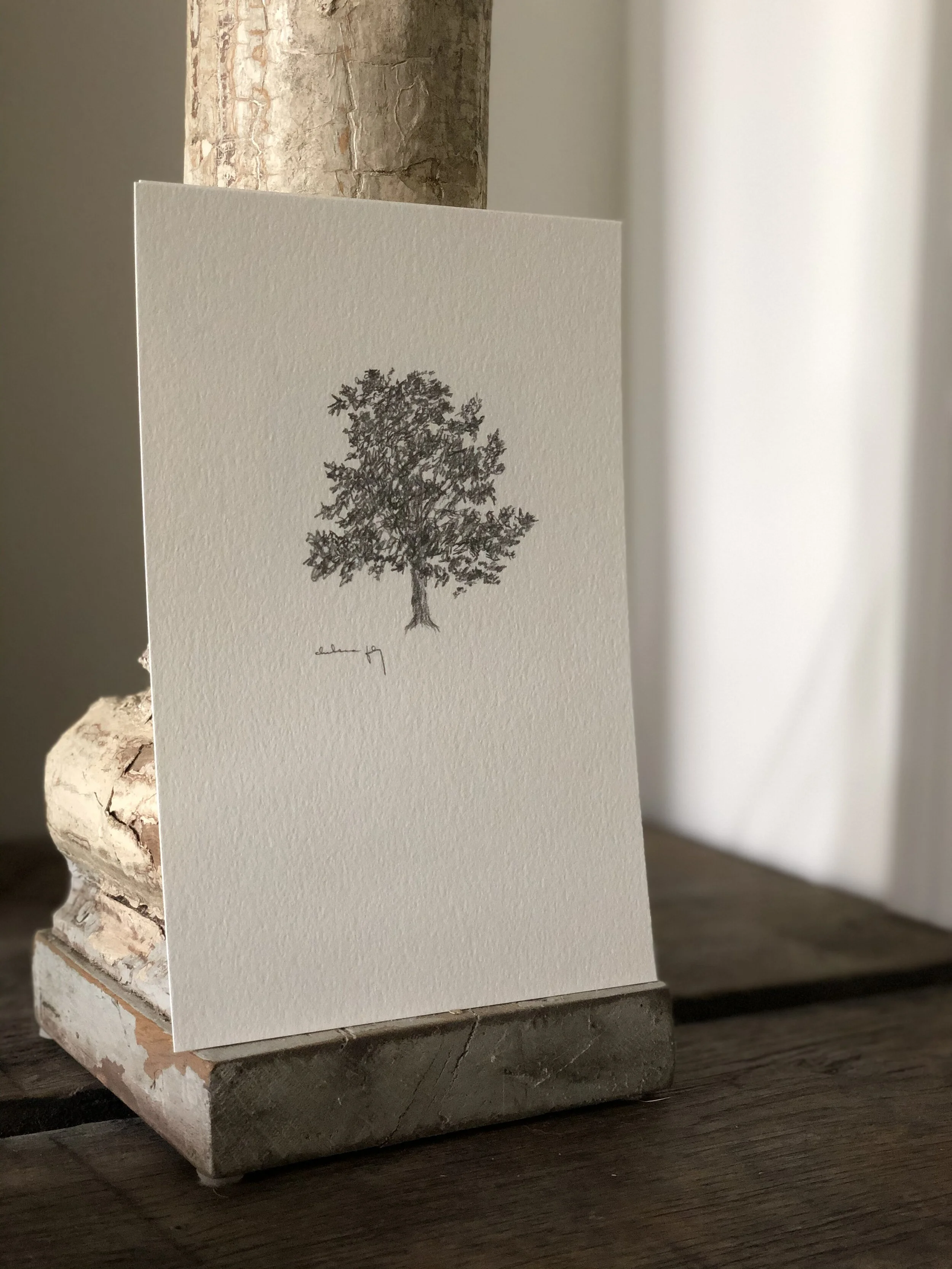 5:21 studies - 9a.jpeg