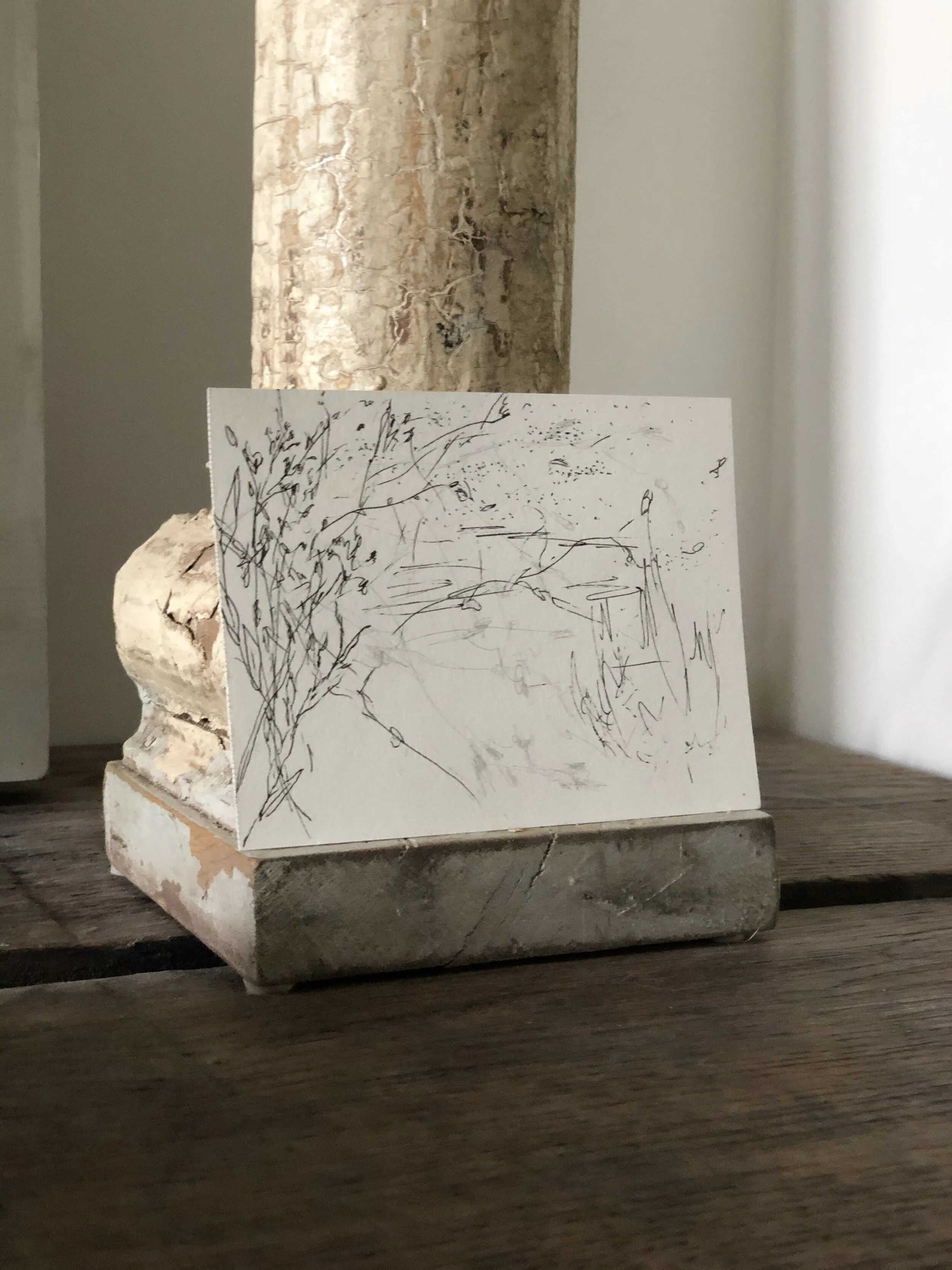 5:21 studies - 22a.jpeg