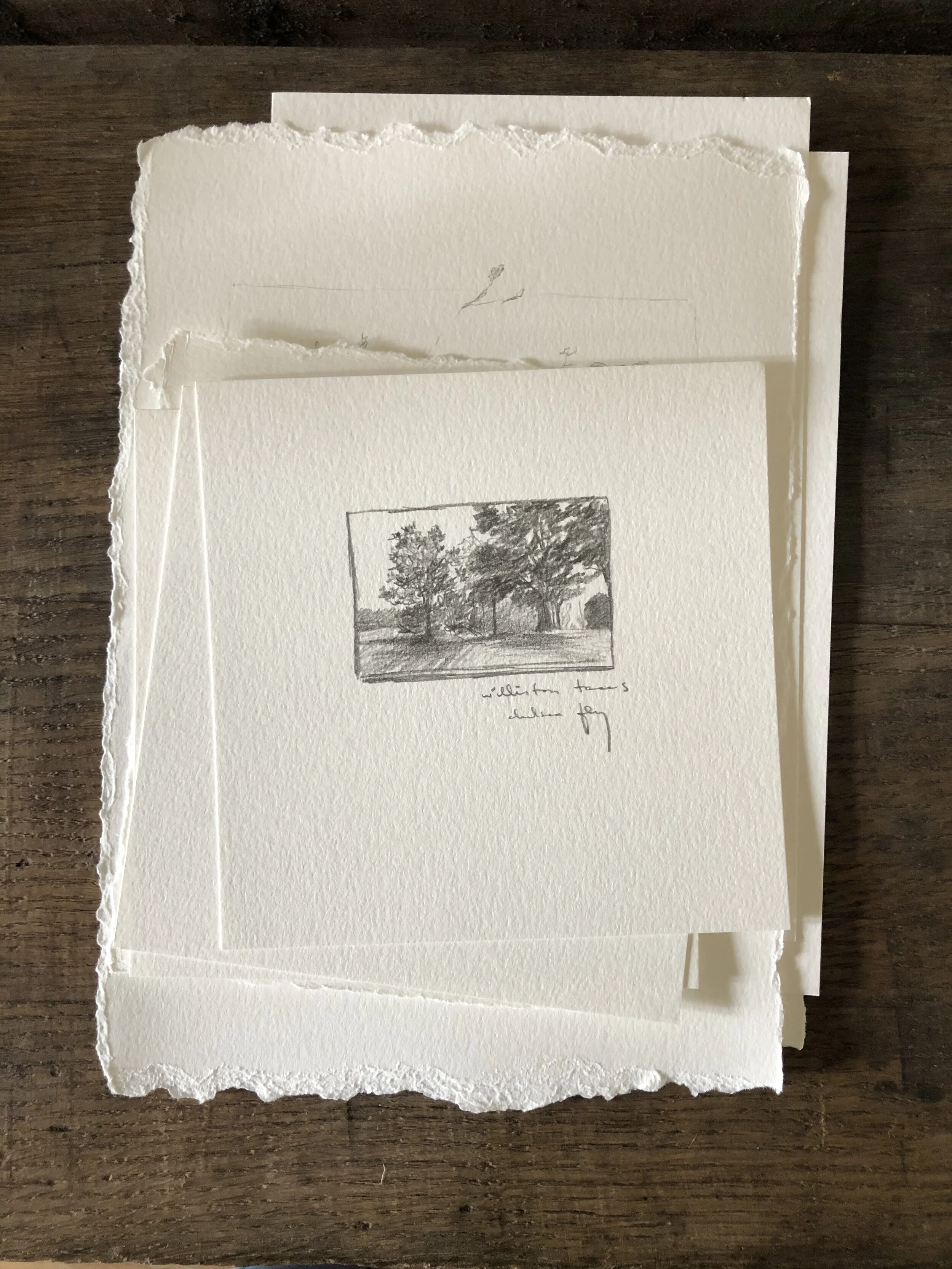 5:21 studies - 19b.jpeg