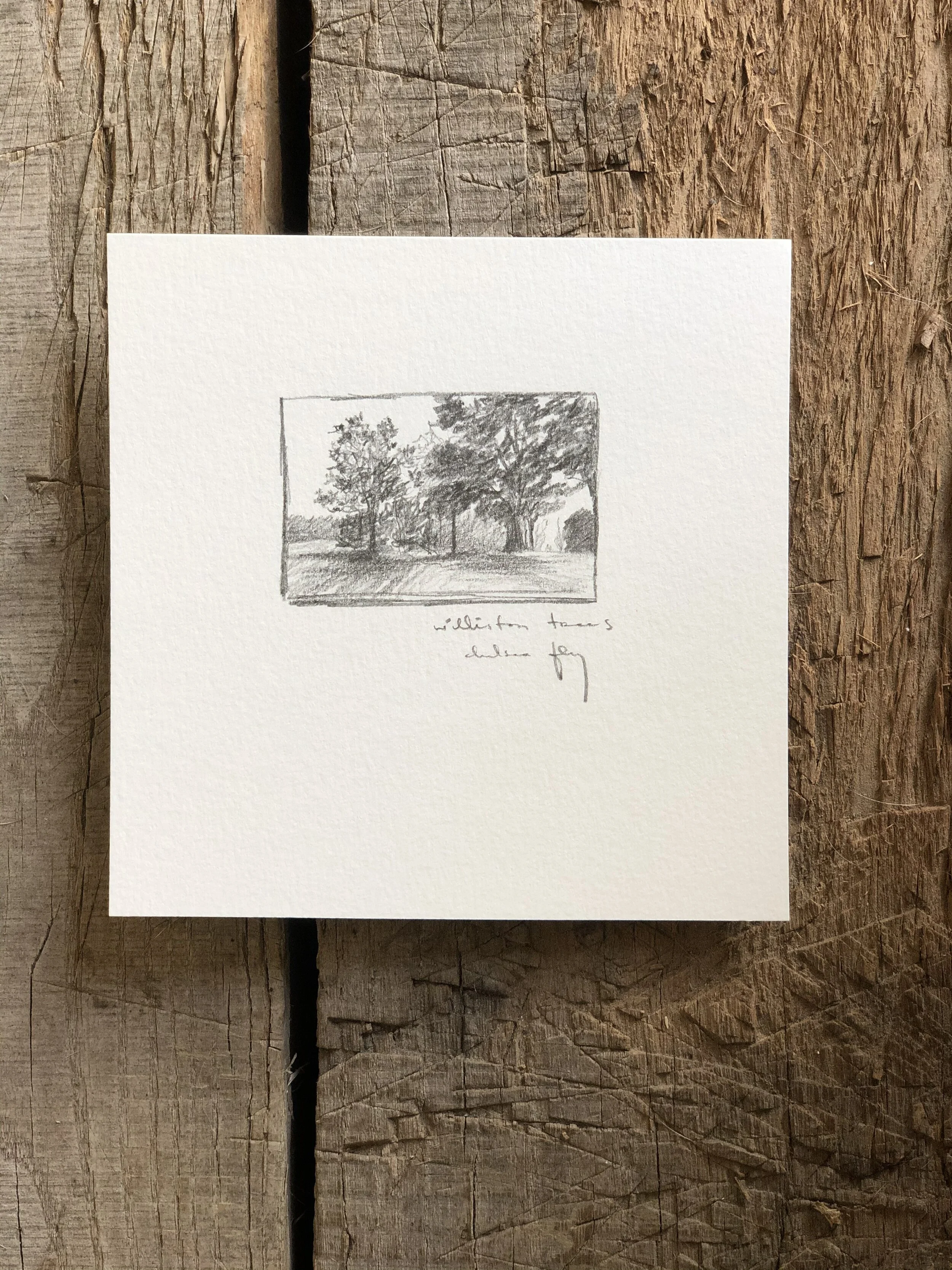 5:21 studies - 19d.jpeg