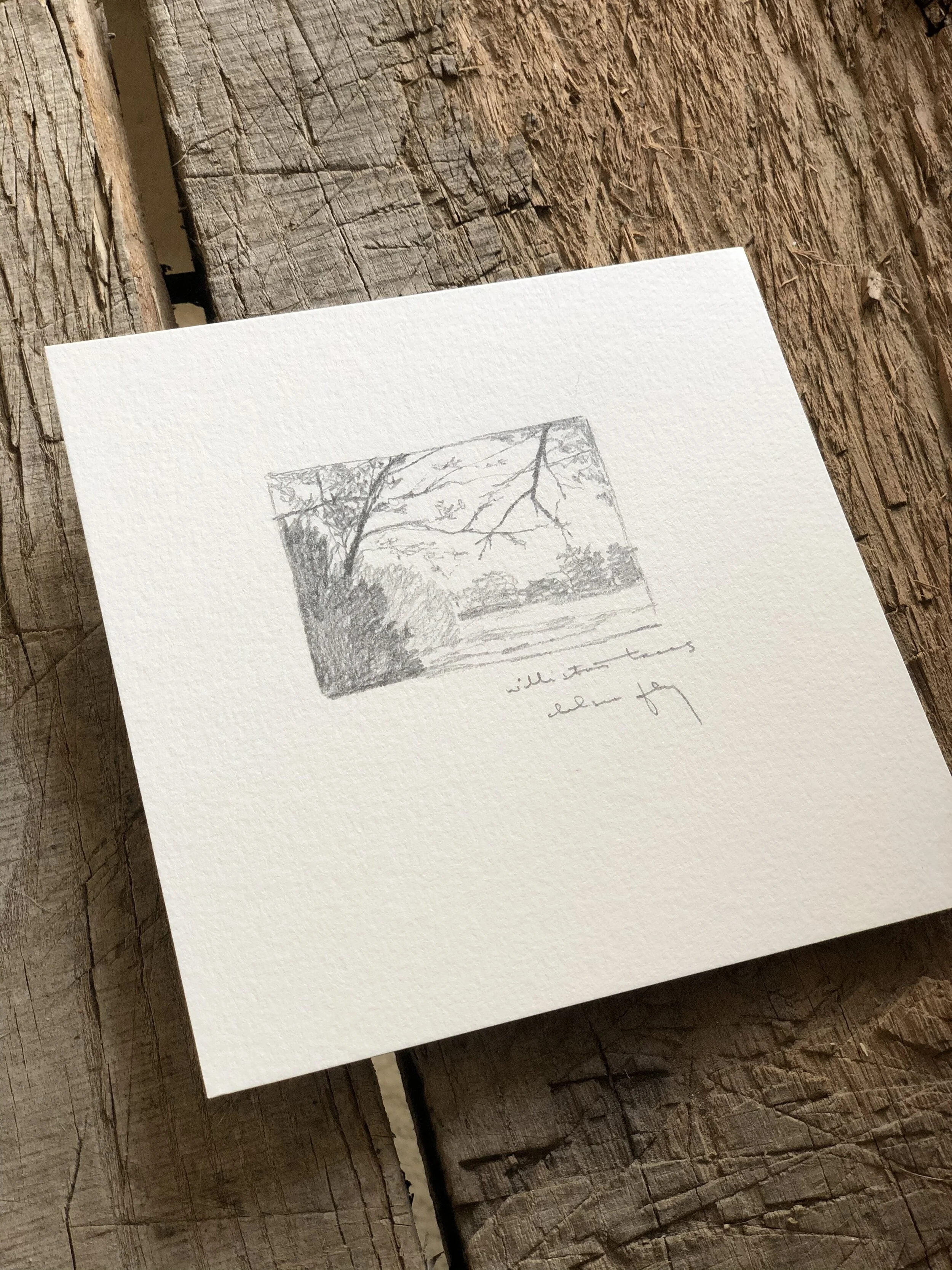 5:21 studies - 20b.jpeg