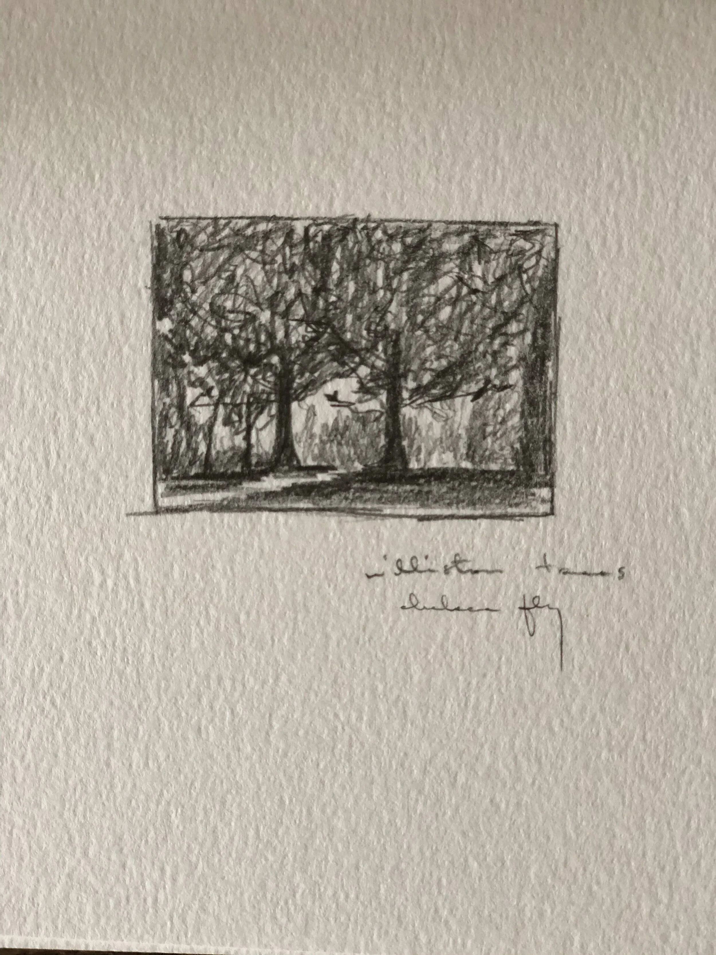 5:21 studies - 18b.jpeg