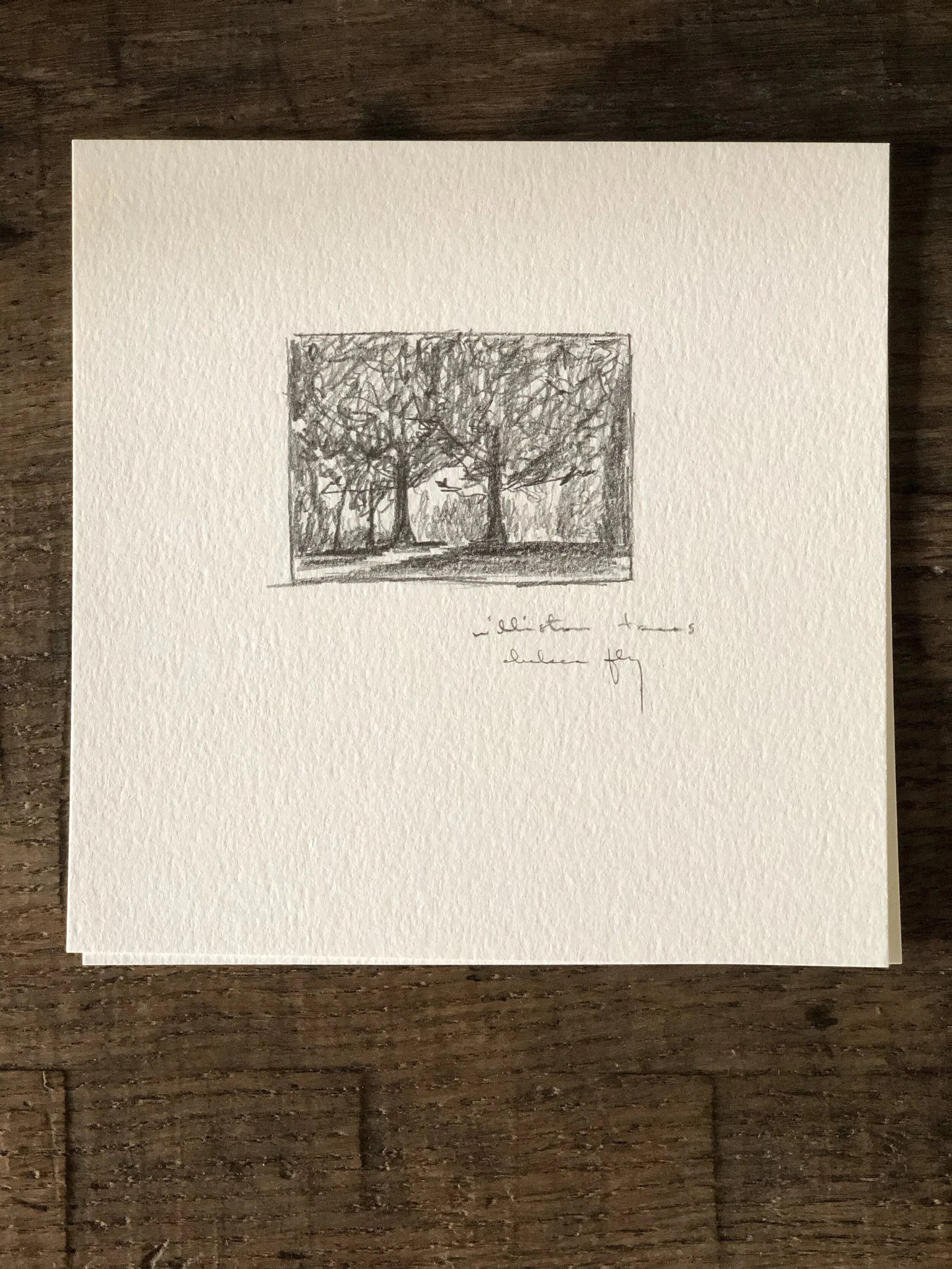 5:21 studies - 18c.jpeg