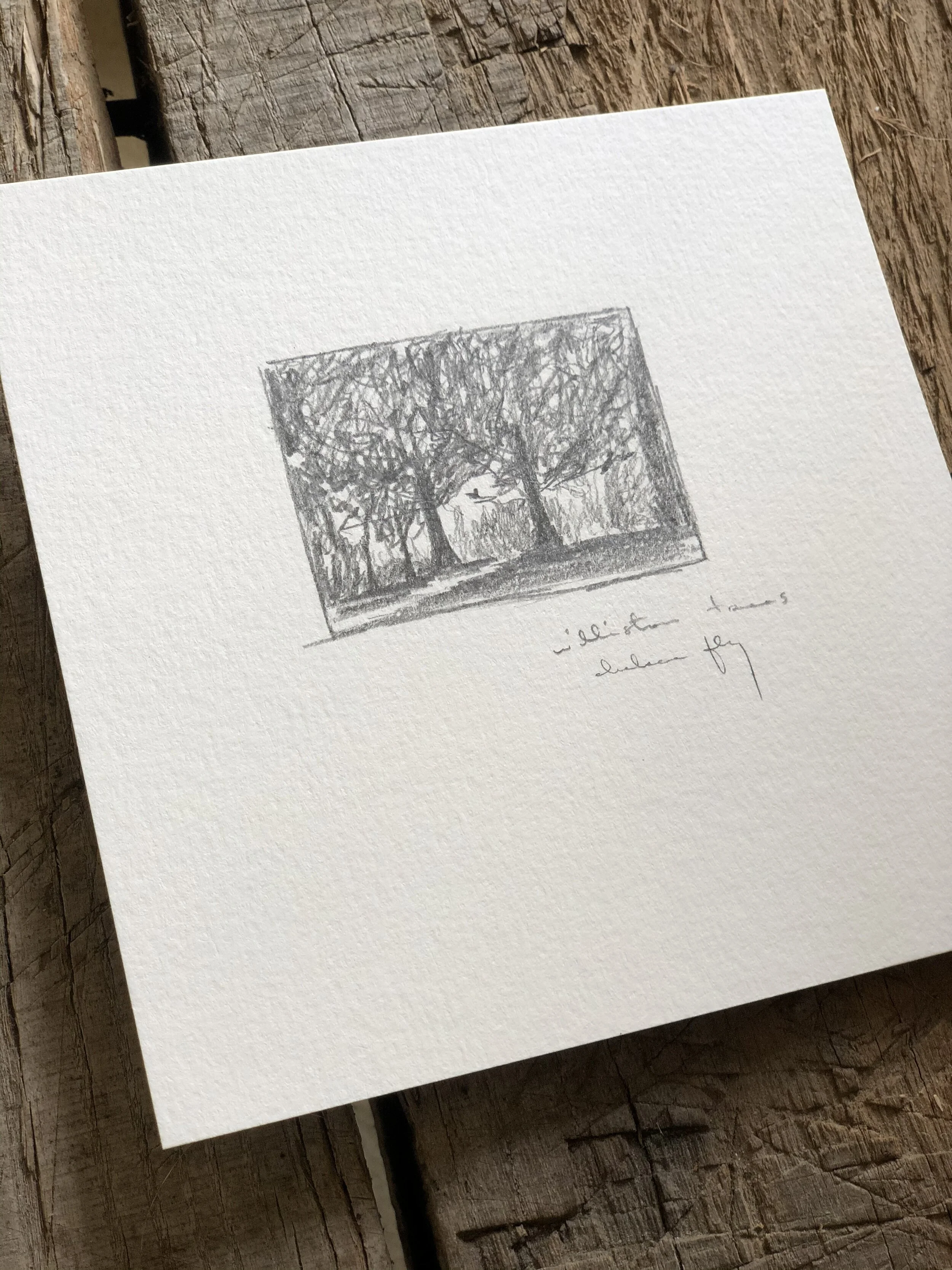 5:21 studies - 18d.jpeg