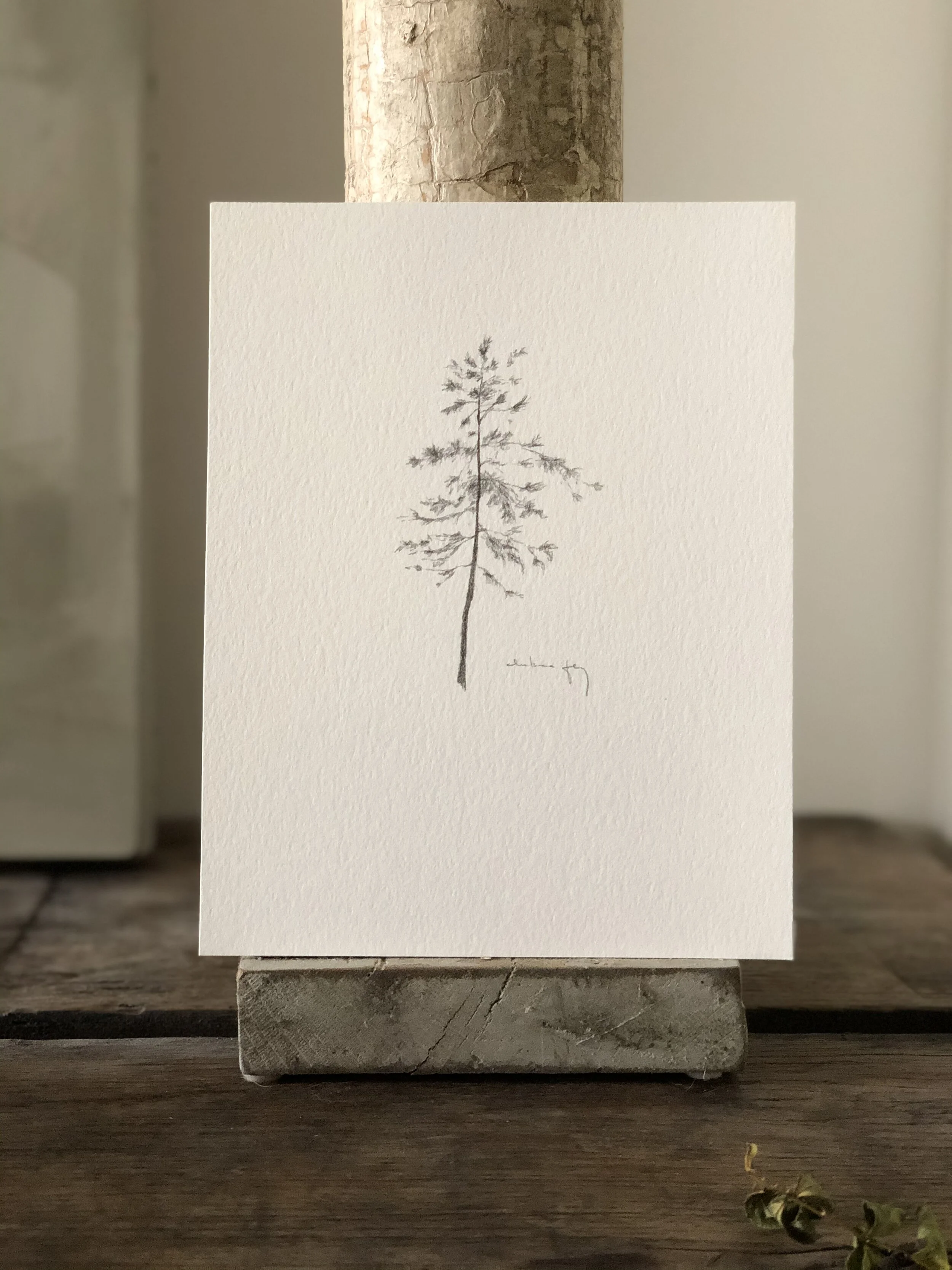 5:21 studies - 17b.jpeg