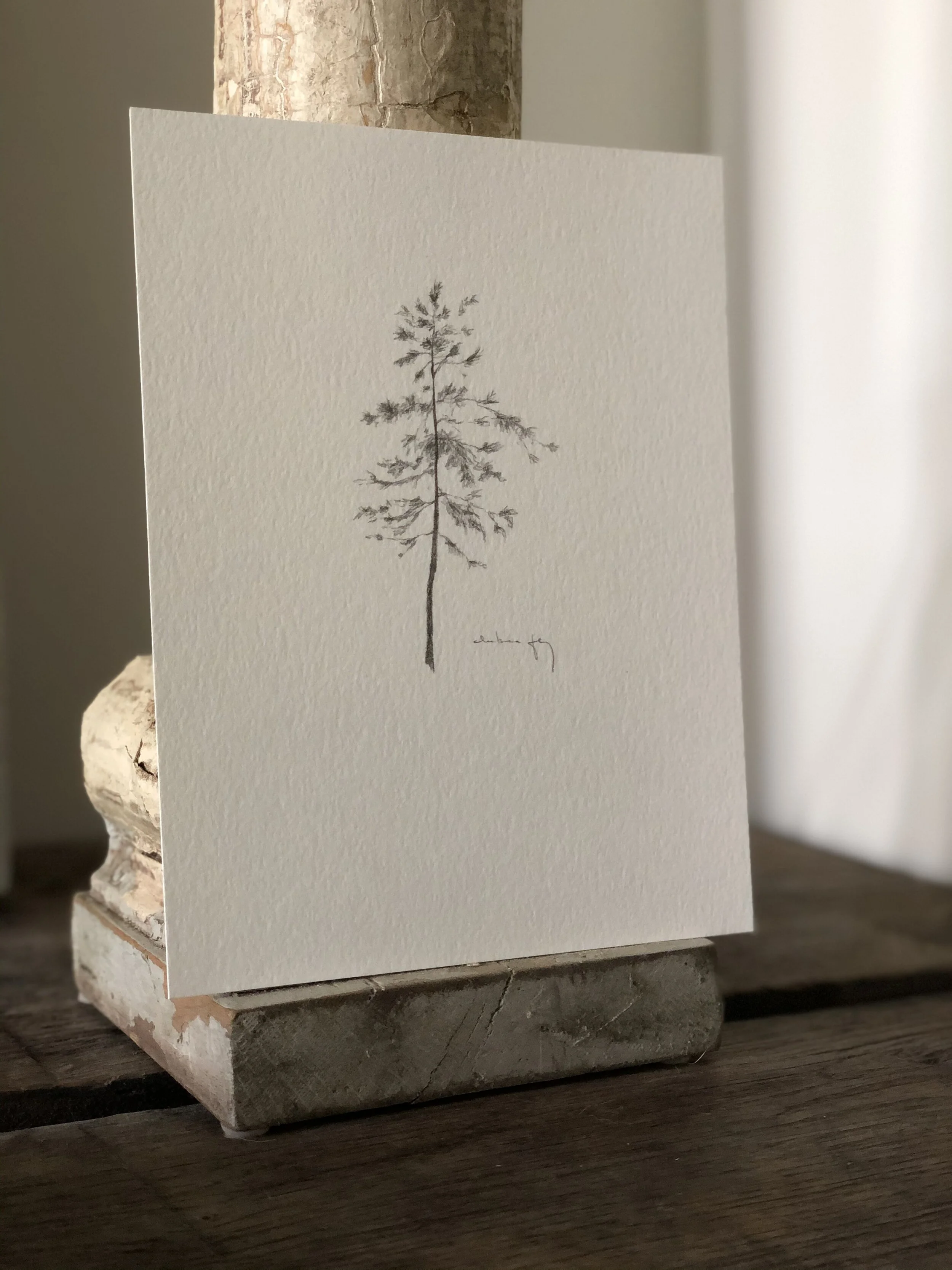 5:21 studies - 17c.jpeg