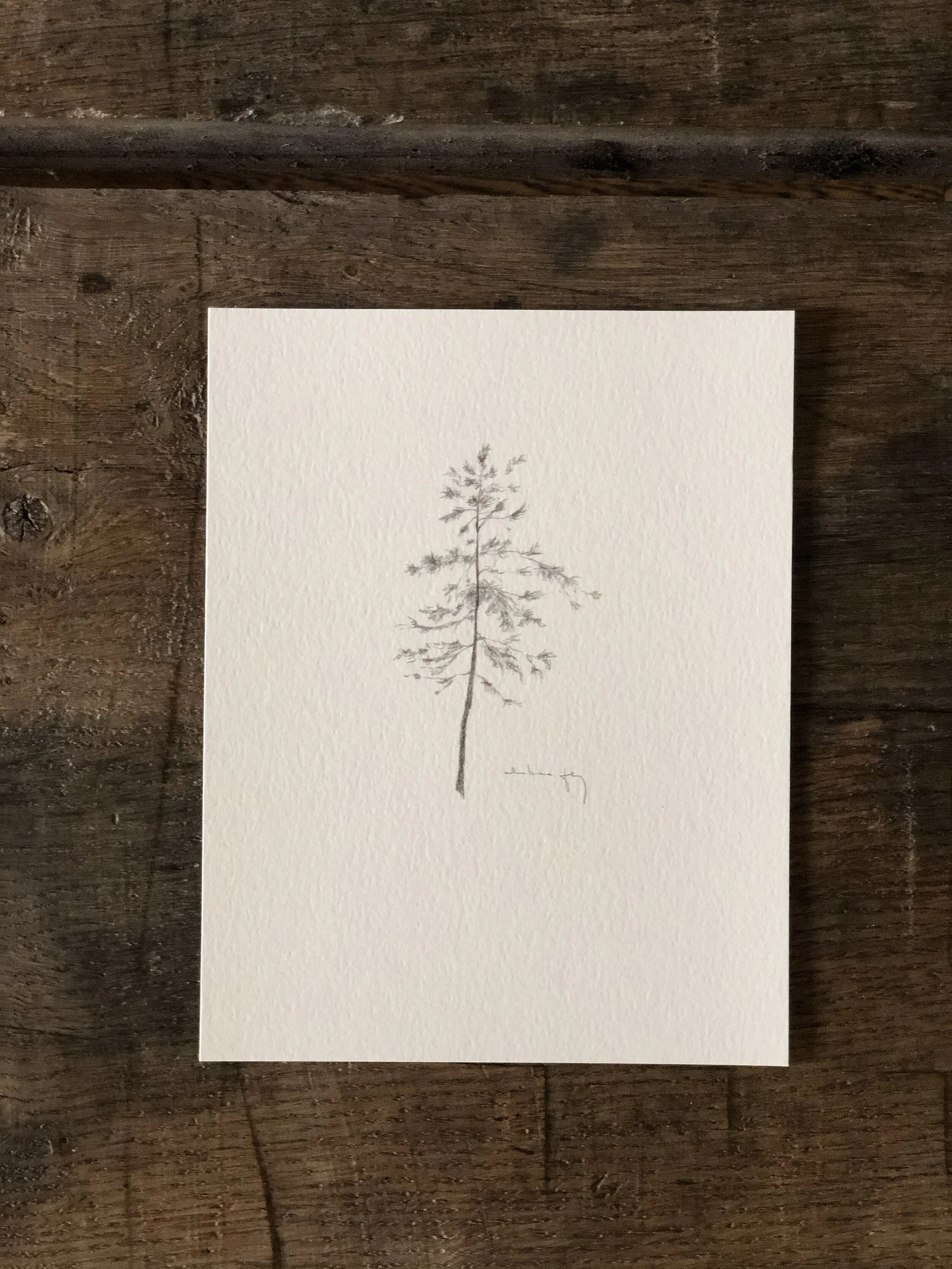 5:21 studies - 17d.jpeg