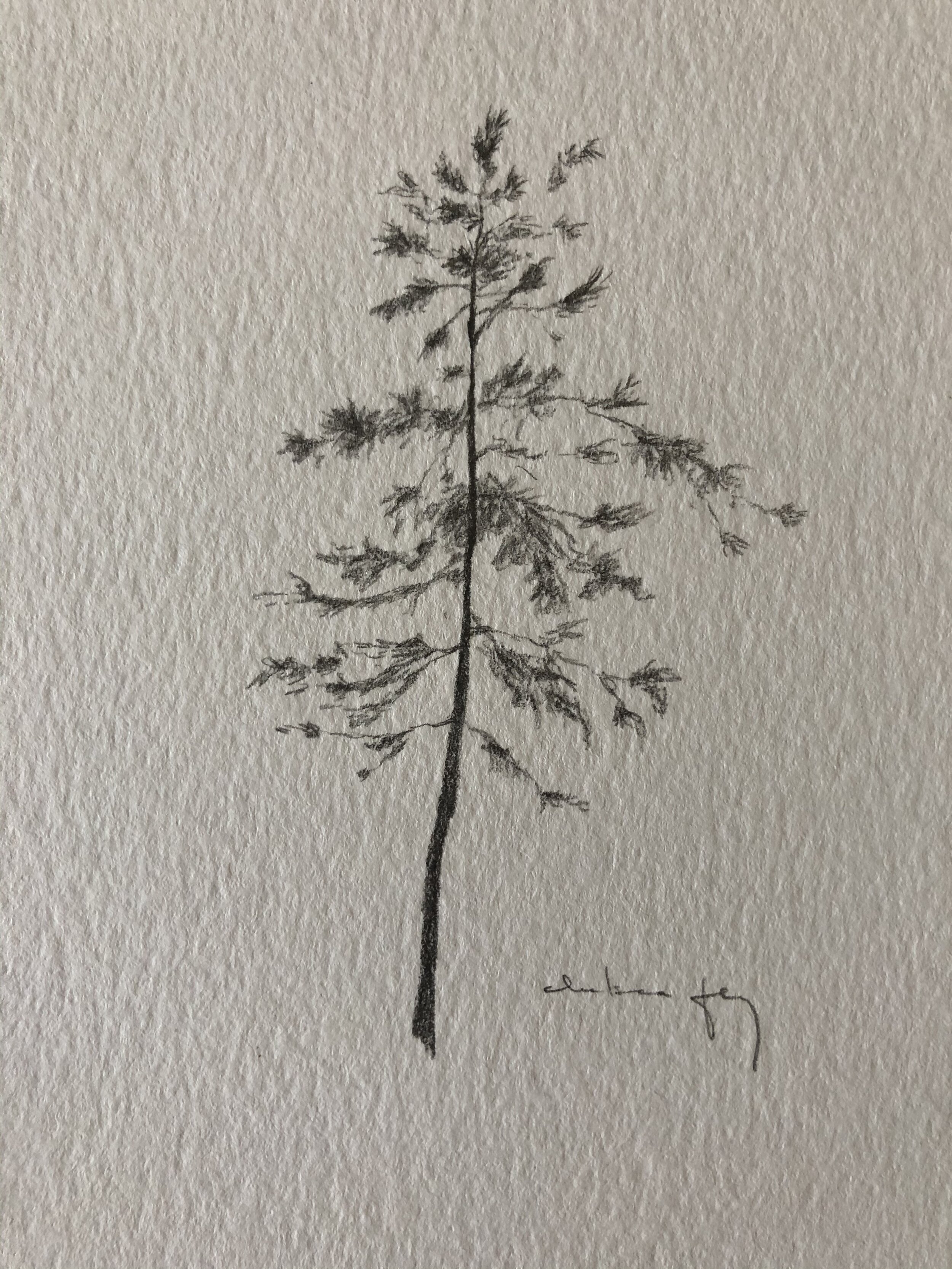 5:21 studies - 17e.jpeg