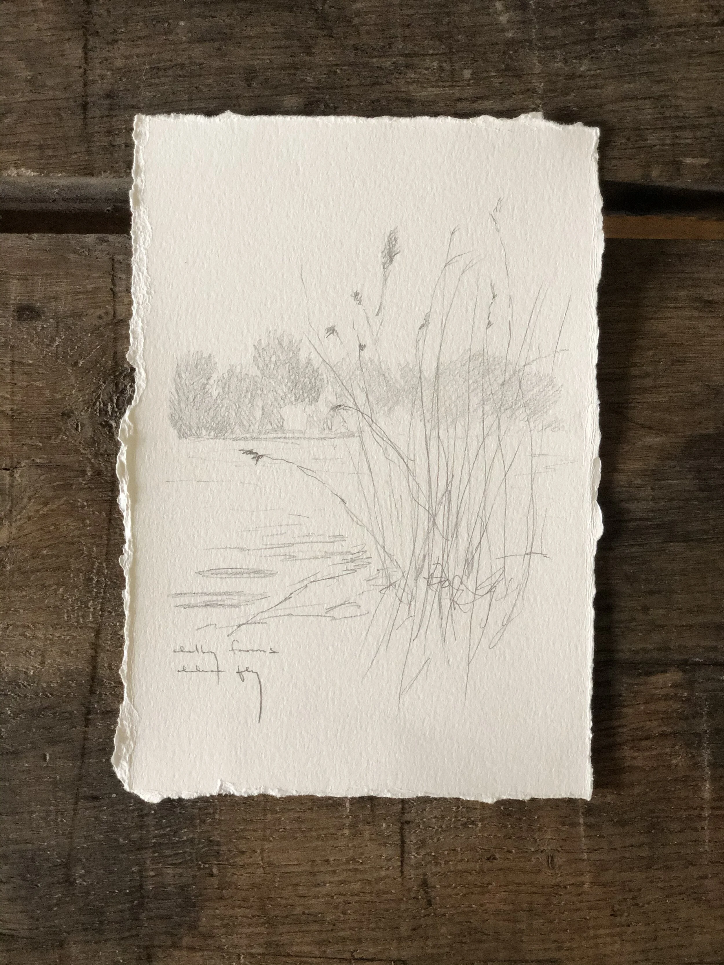 5:21 studies - 16b.jpeg