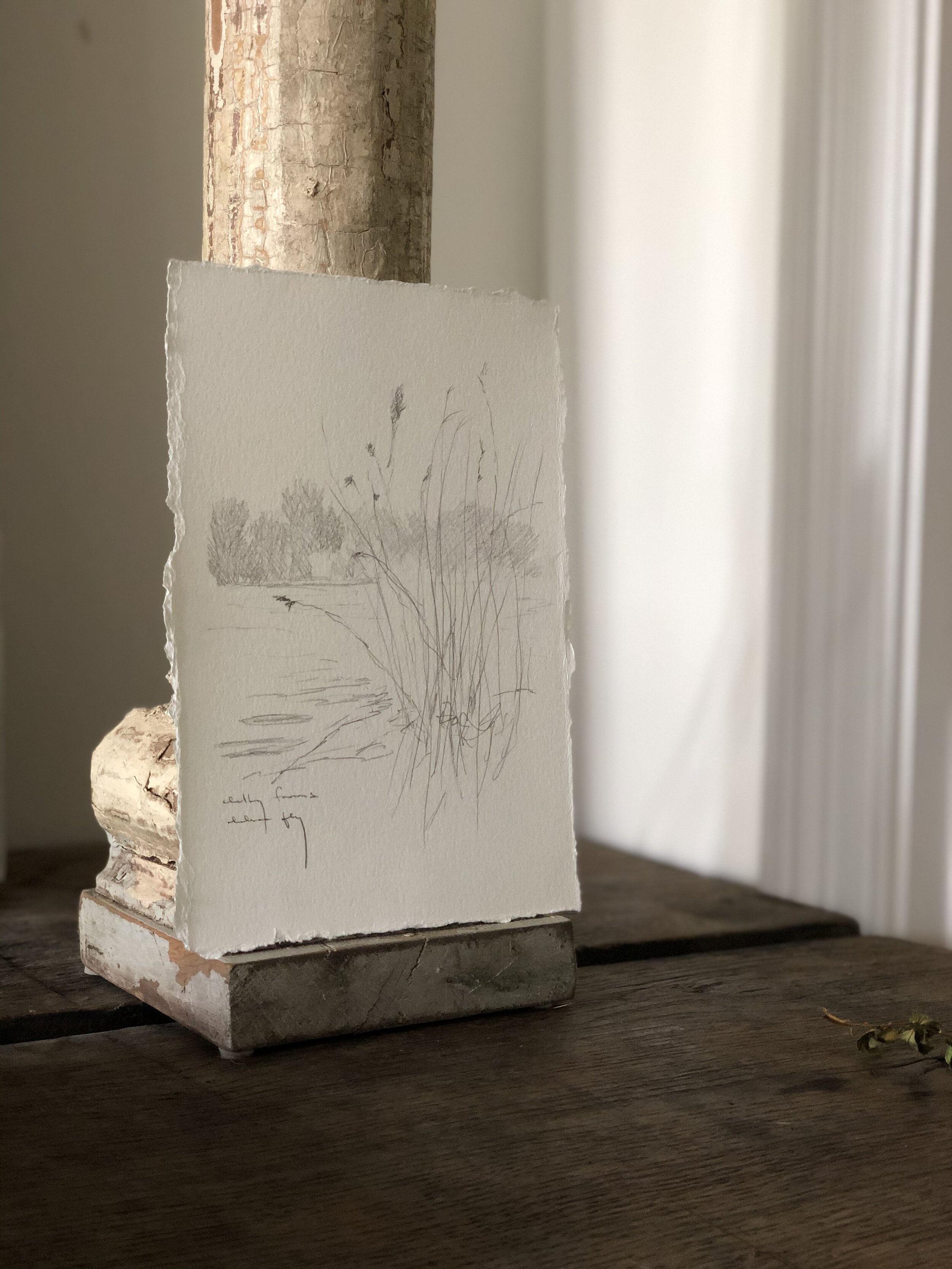 5:21 studies - 16c.jpeg